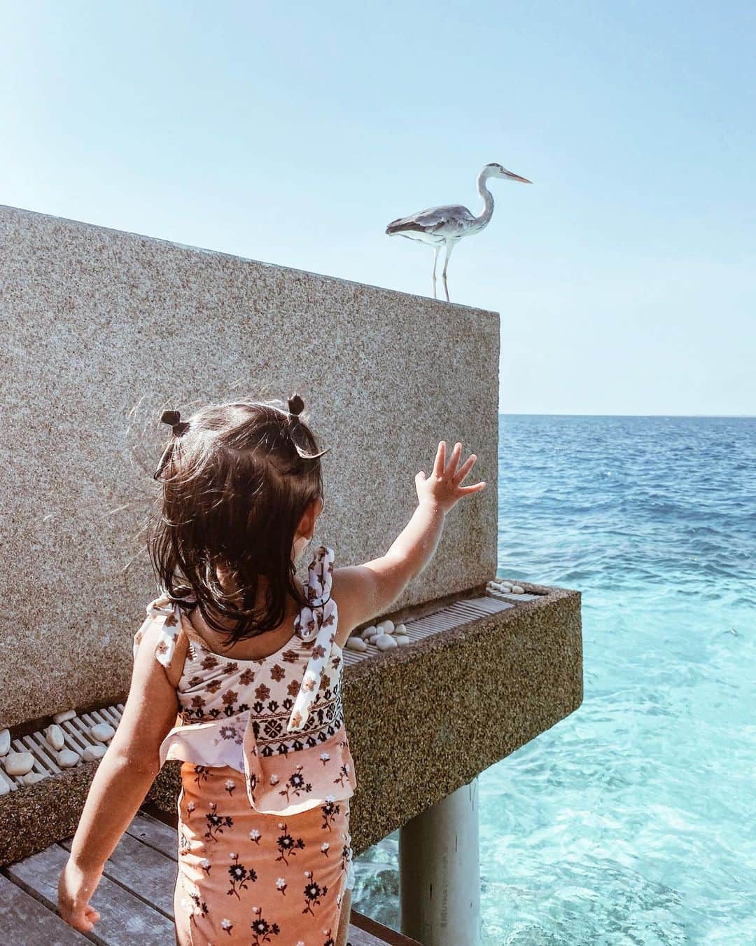 岡田美季さんのインスタグラム写真 - (岡田美季Instagram)「トゥットゥー🕊 鳩がトゥットゥーと鳴くのでいつからか💭 あ！トゥっトゥー！ばーばーい👋 と。鳥さんを探しながら声をかけています👧 モルディブは子連れにも優しくて海が大好きな子にとっては本当に天国だと思う💗 #モルディブ #maldives」3月1日 2時30分 - mikiokada0225