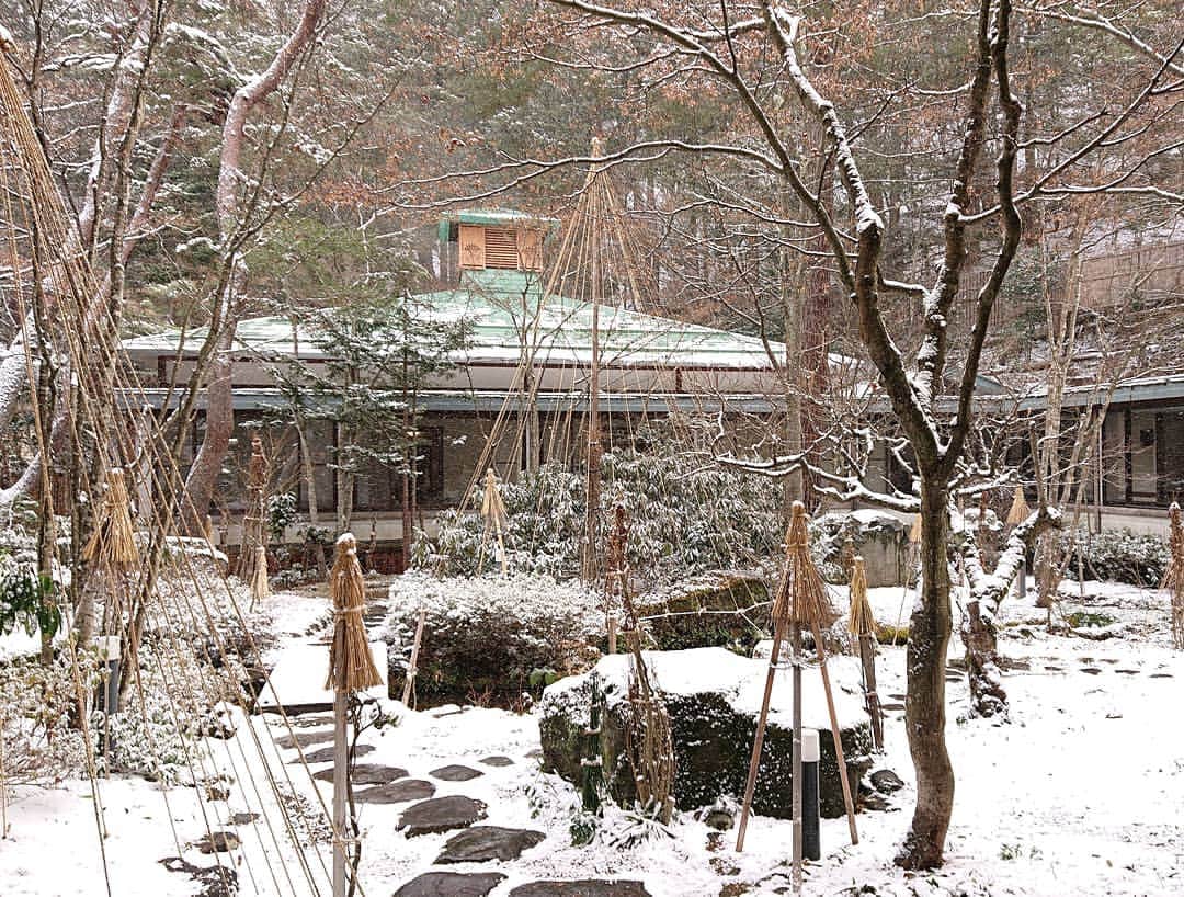 上林ホテル仙壽閣のインスタグラム：「2月最後の日、降雪も落ち着きました。うっすらと良いアイテムとなりますね。 #japan #senjukaku #上林ホテル仙壽閣 #日本 #日本庭園 #長野 #長野電鉄 #地獄谷野猿公苑最寄りの宿 #写真撮ってる人と繋がりたい」