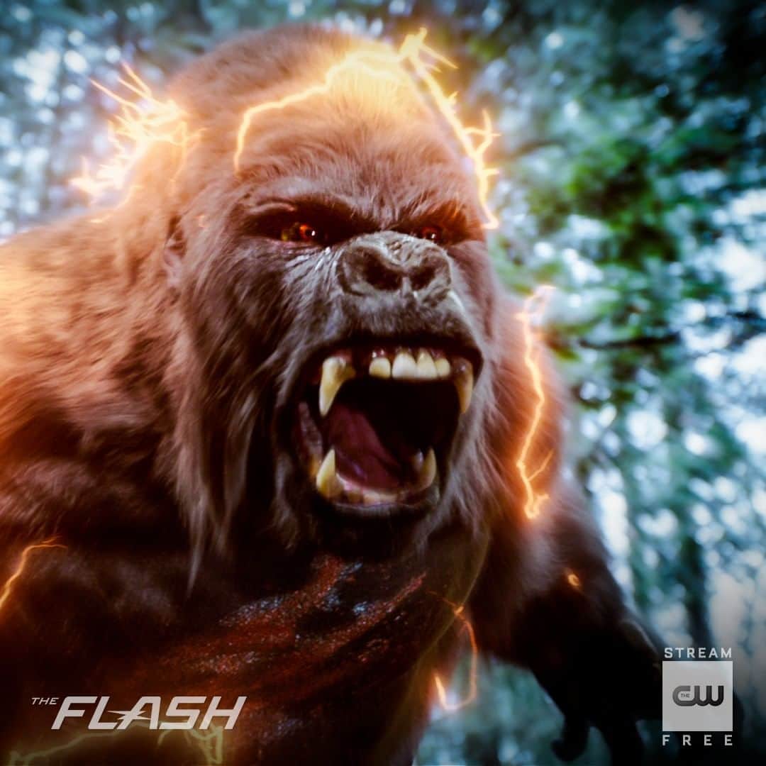 The Flashのインスタグラム：「⚡+ 🦍Stream the latest episode of #TheFlash, link in bio.」