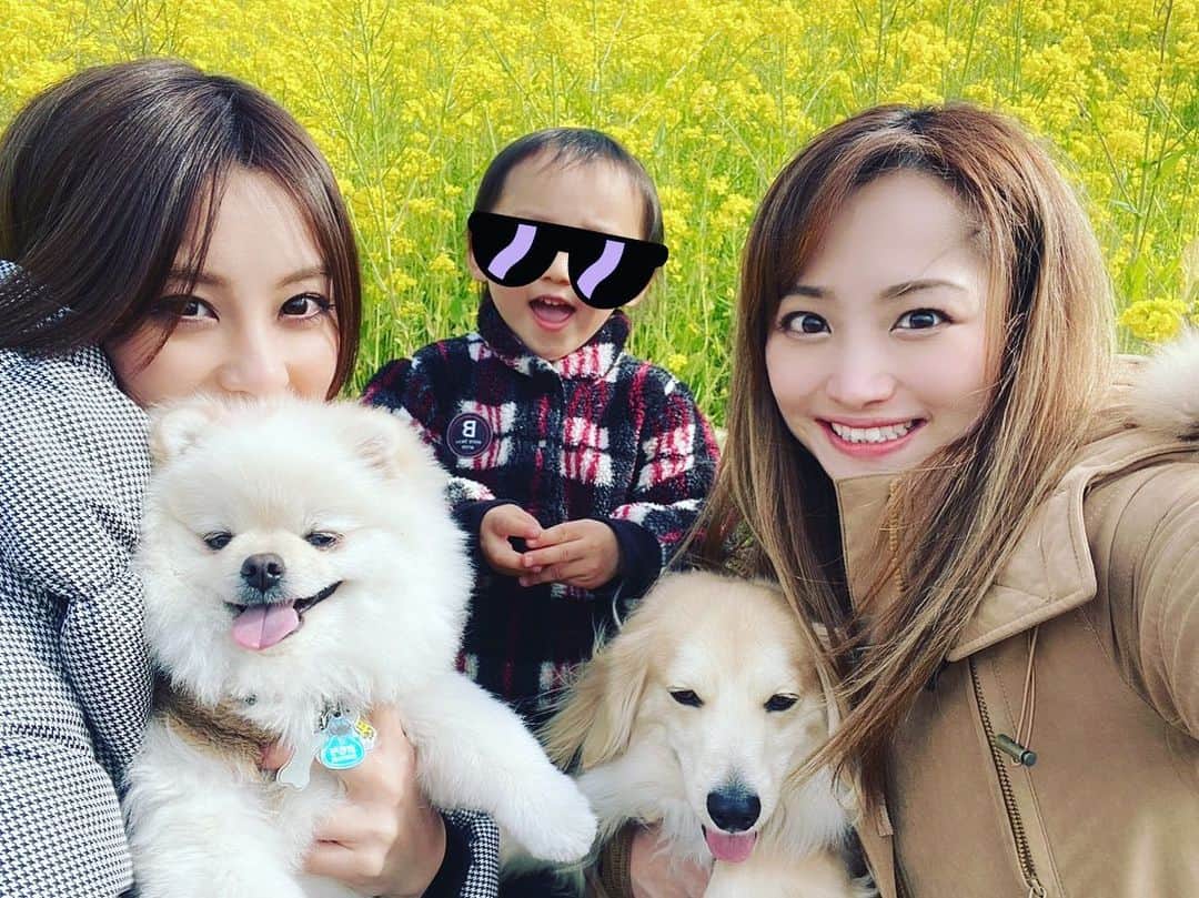 葵ゆりかのインスタグラム：「先日、あやちょるとマザー牧場へ🐮🚗 続々といろんなとこが閉園とかになってるからその前に行けてよかった❤️ 菜の花綺麗だし、ヤギの赤ちゃん見れたしジンギスカン美味しいし😍 暖かくなったらまた行きたいなー☺️ #マザー牧場　#牧場　#ドライブ　#drive #🚗　#菜の花　#羊　#ヤギ　#ジンギスカン　#わんことおでかけ #bestfriend」