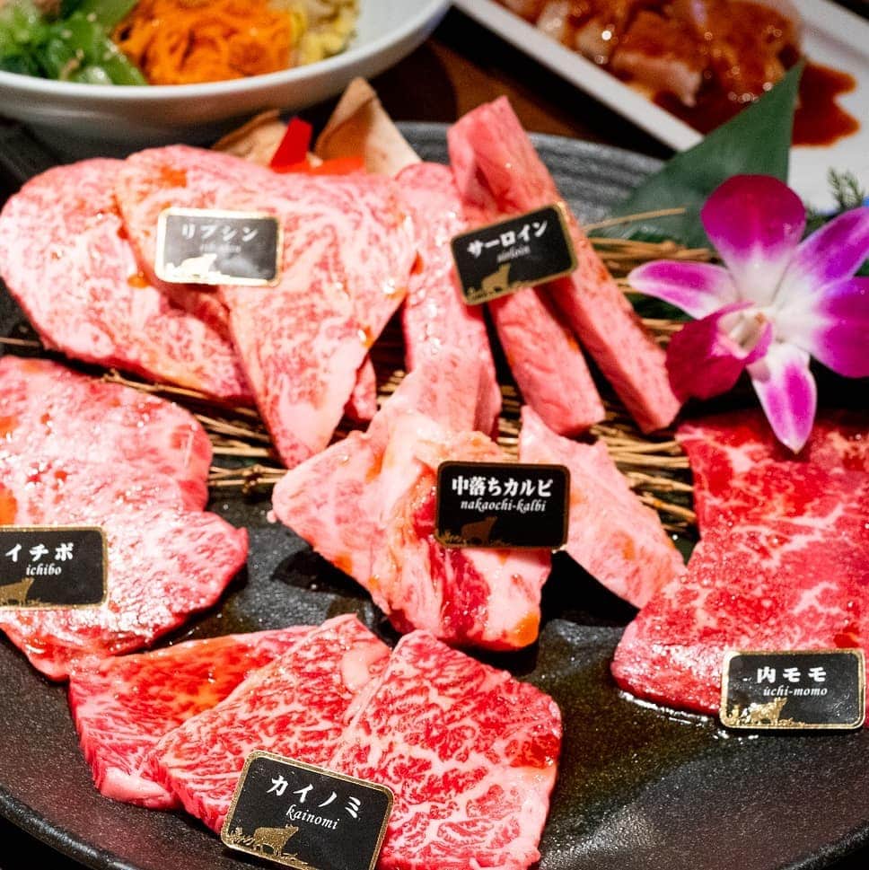 藤川奈々のグルメインスタ