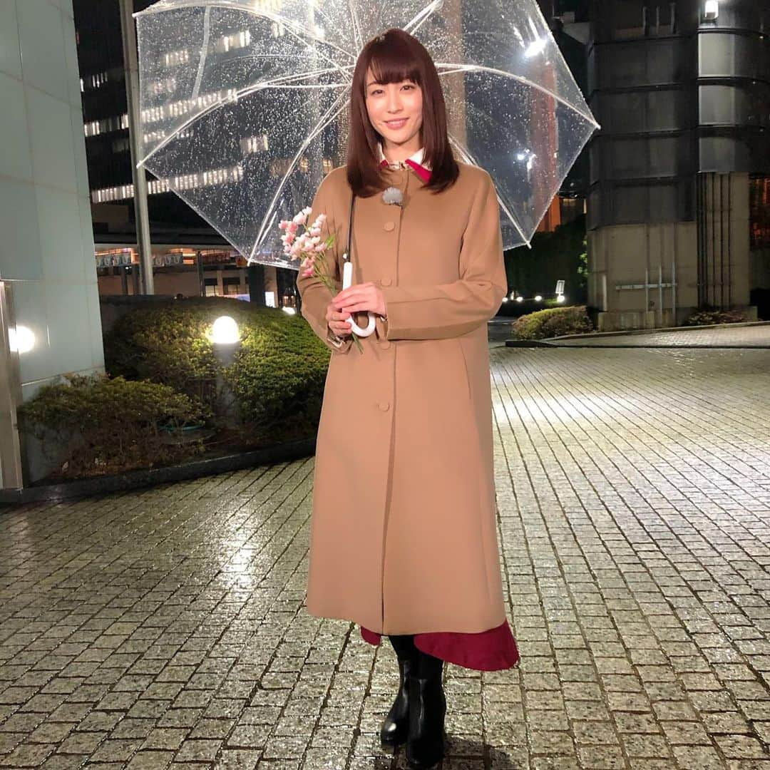 新井恵理那のNキャスさんのインスタグラム写真 - (新井恵理那のNキャスInstagram)「一癖あるシャツの襟を、コートから出してポイントに⭐︎若返り…というか若作りになっちゃいましたか、ね？(*´-`) 〜2/29衣裳情報〜 トップス/ sawa alamode @ala_mode2015 コート/resyuryu @resyuryu_official スカート /RIOMARU @shop_riomaru イヤリング/osewaya @osewaya_official」3月1日 18時02分 - tbs_7nc