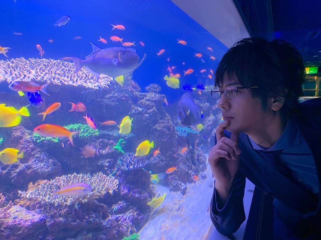 のインスタグラム：「ABCテレビで今夜放送の#この男 第7話✨は水族館デート❤️ 撮影オフショットです！ . お楽しみに〜🎶 . #この男は人生最大の過ちです #速水もこみち #松井愛莉 #田中道子 #入江甚儀 #片山萌美 #平岡祐太」