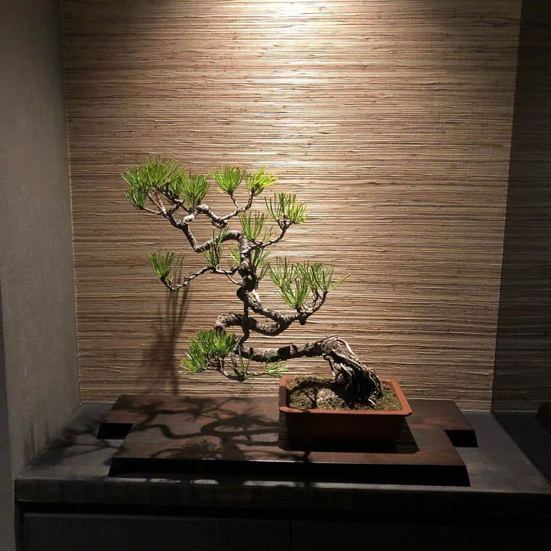 山田孝之のグルメインスタ