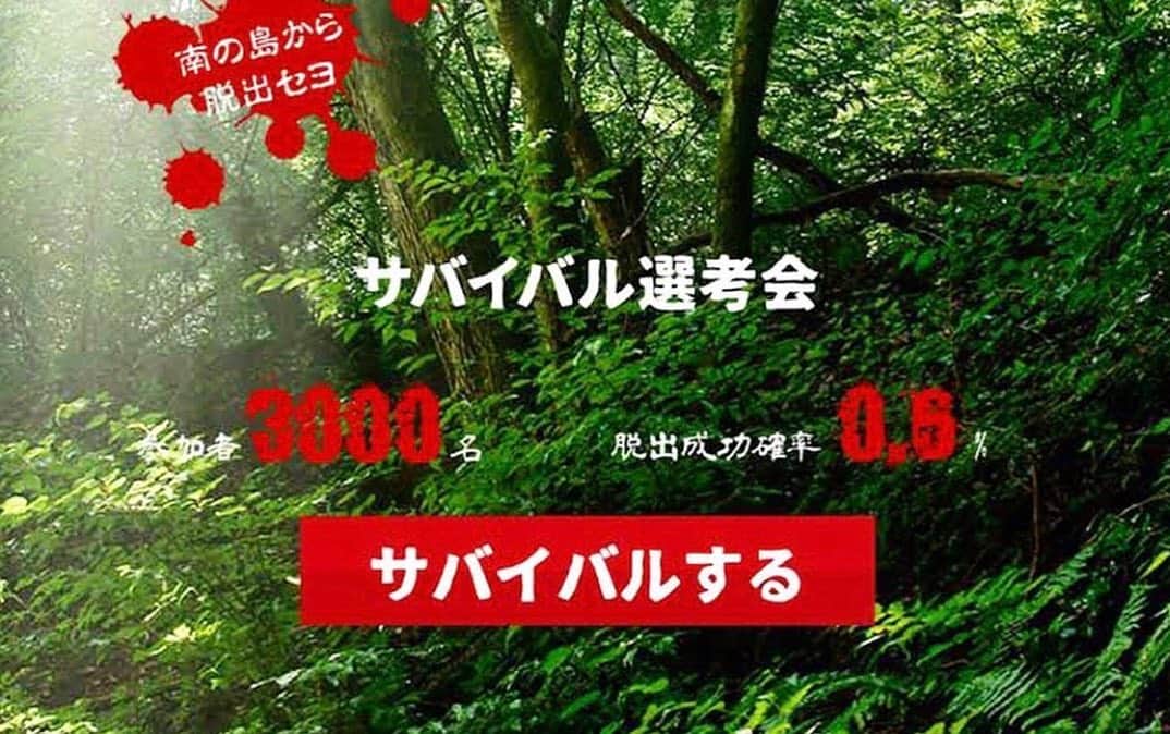 テレックス&アローのグルメインスタ