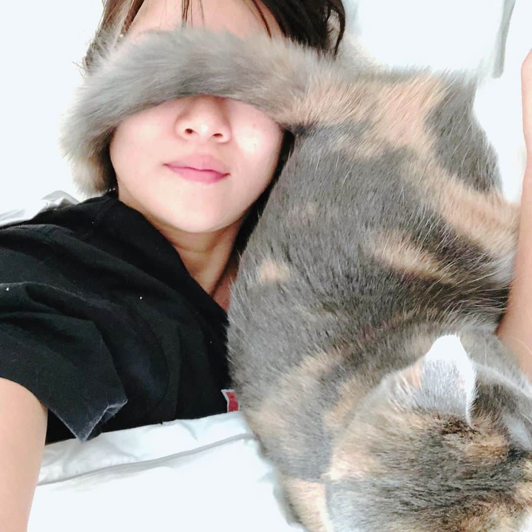 藤崎奈々子さんのインスタグラム写真 - (藤崎奈々子Instagram)「朝、友達とLINEでやり取りしていたらキナコちゃんが起きだした。 「母さ〜ん母さ〜ん❣️」 と猛アピールしてきたので 「ちょっと待ってね。お返事してるからね」 と言ったら、しっぽで目隠しされた🤣 さすがうちのお姫様🐈 力技で自分の意思を貫く姿勢に完敗… ・ #三毛猫#保護猫#にゃんすたぐらむ#ねこすたぐらむ#ねこのいる生活#ねこのいる暮らし#朝から幸せ#猫」3月1日 10時28分 - nanakofujisaki
