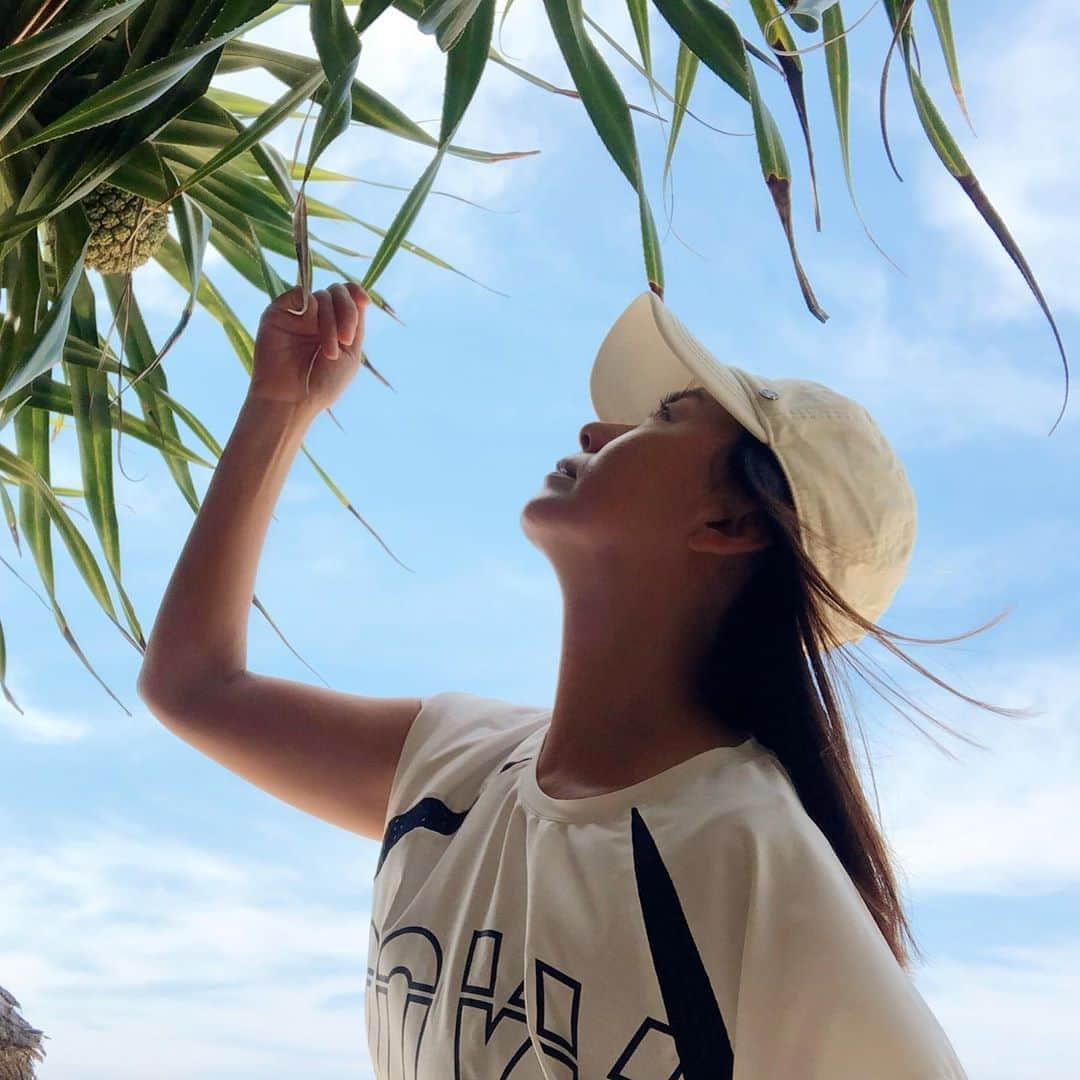 田中律子さんのインスタグラム写真 - (田中律子Instagram)「沖縄のビーチでたくさん見かける、アダンの木🍍実はパイナップルに見た目が似てるから、知らない人は、あ、パイナップル🍍だー❗️って言うけど、パイナップルは木にならない😆 葉っぱはトゲトゲしてるから、痛いよ🙄この葉っぱでカゴとかゴザとか昔の人は編んでたんだって。実は食べれないのが残念ね、美味しくないらしい🍍  南国らしいたたずまいのアダンの木が私は好き❤️ #okinawa #beachlife🌴  #beachfront  #beach🌊  #海のある暮らし  #海が好きな人と繋がりたい  #海のある生活」3月1日 12時07分 - ri2kotanaka