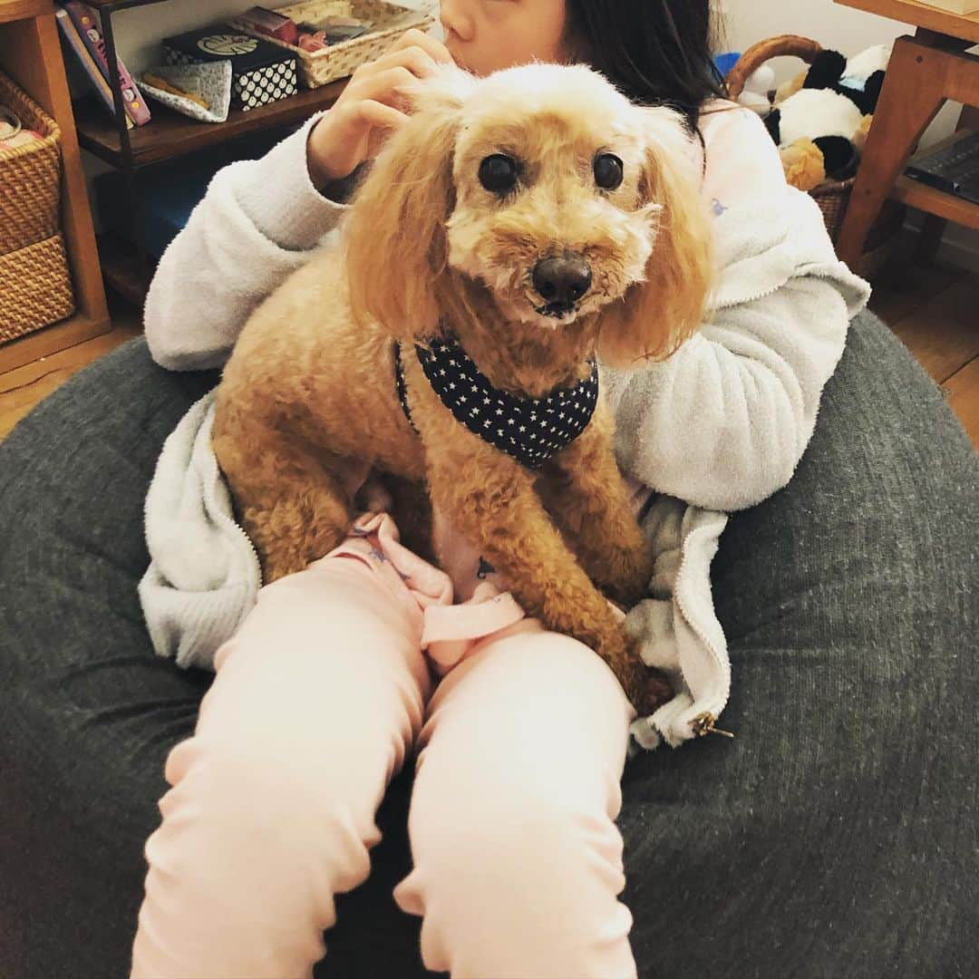 青木さやかさんのインスタグラム写真 - (青木さやかInstagram)「ネコ🐱が強くなってきてイヌ🐕が怖がりはじめました。娘にべったり。仲良くなってほしいです。 #いぬ #ねこ」3月1日 13時18分 - sayaka___aoki