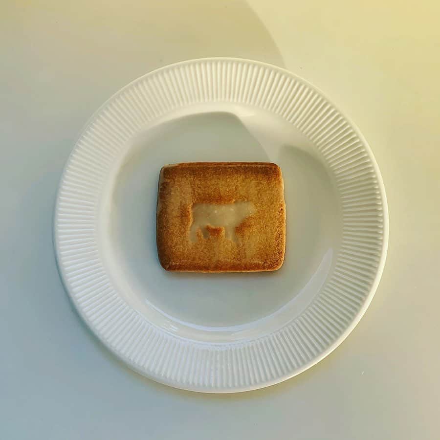 のインスタグラム：「ずっと食べてみたかったけど1枚あたりの値段考えたらなかなか買えなかったエシレのサブレグラッセ🤤💕 気持ち的には1枚30分くらいかけてゆっくり堪能したかったけれど、ものの2分で食べきってた・・・🐄🧈 ・ ・ ・ #エシレ #エシレパティスリーオブール  #サブレグラッセ #echire  #美味しい  #ありがとうございます #에시레 #도쿄맛집  #버터　 #맜있다  #고맙다 #🧈💕」