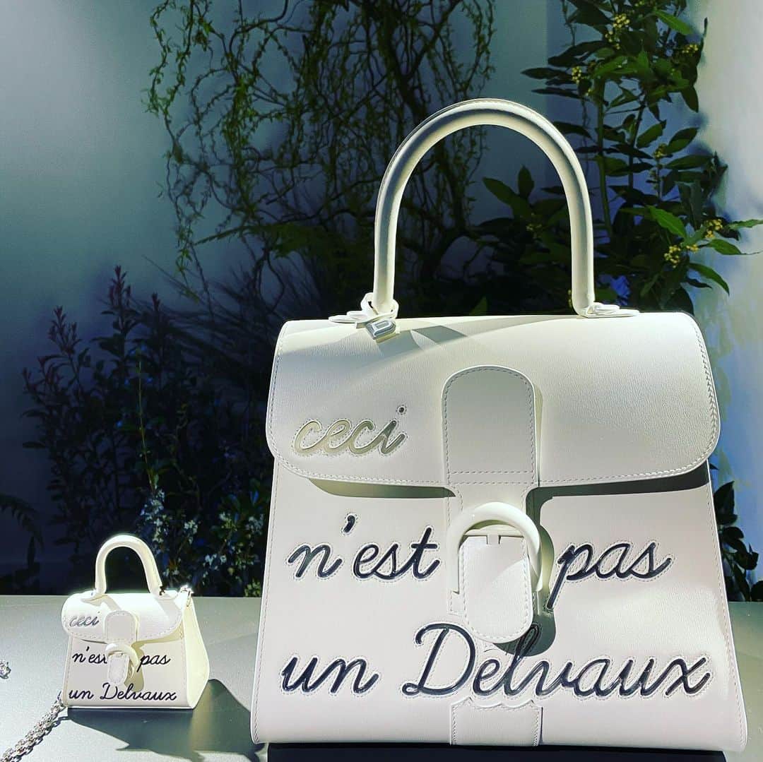 HiRAO INCのインスタグラム：「. Magical forest of Delvaux  扉の向こうは いつも不思議の国に繋がってる」