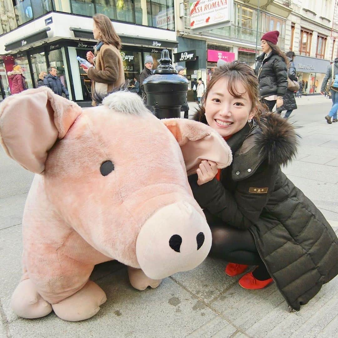 的場絢香さんのインスタグラム写真 - (的場絢香Instagram)「*﻿ ﻿ あっという間に3月〜🌷﻿ ﻿ 3月1日は"豚の日"なんだって🐖﻿ ということで、﻿ ウィーンで出会ったぶたさんとの写真を♡﻿ ﻿ ヨーロッパでは、﻿ 豚は幸運の象徴とされているんです。﻿ ぶたさんグッズのお店がいくつも﻿ ありました🐷！﻿ ﻿ わたし昔からぶたが好きで﻿ 家にたくさんいるんです♩﻿ ドイツやウィーンでもかわいいぶたさんが﻿ いっぱいいたので連れて帰ってきました🐽💕﻿ ﻿ __________________________________________ #マトバの海外旅行記 #ウィーン #ぶひ」3月1日 19時30分 - ayaka_matoba