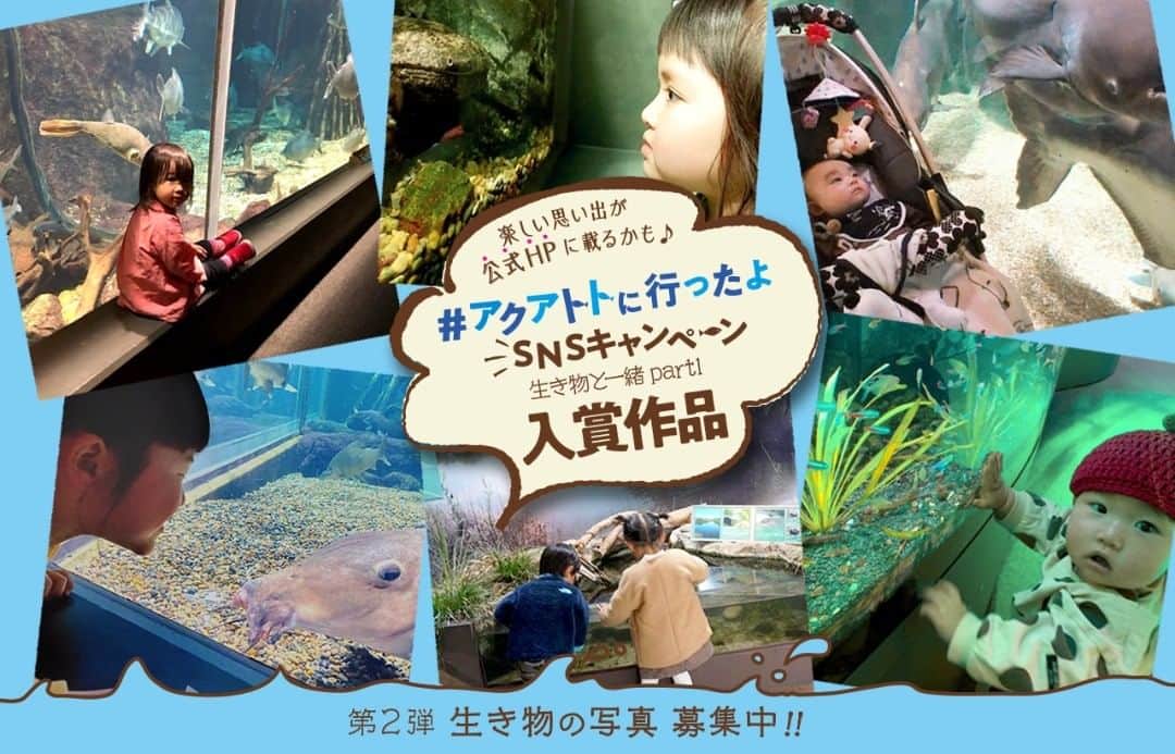 世界淡水魚園水族館 アクア・トト ぎふのインスタグラム：「#アクアトトに行ったよ　SNSキャンペーン 第1弾の投稿ありがとうございました！  どれも素敵な思い出が詰まった写真たち。その中からいくつかの写真を公式HPのトップに掲載いたしました！！ 第2弾も募集中です。楽しい思い出、お待ちしています。」