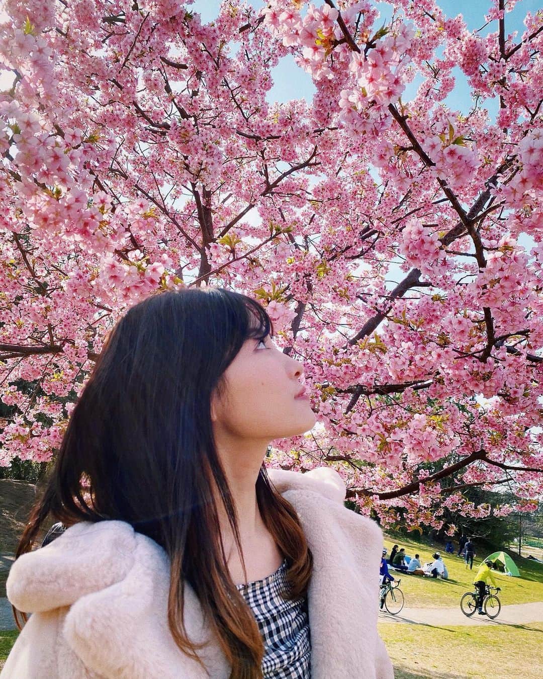 谷口めぐさんのインスタグラム写真 - (谷口めぐInstagram)「もう桜咲いてた🌸 3月もよろしくです！！ #桜 #cherryblossom #3月 #march #お花見」3月1日 19時51分 - o_megu1112