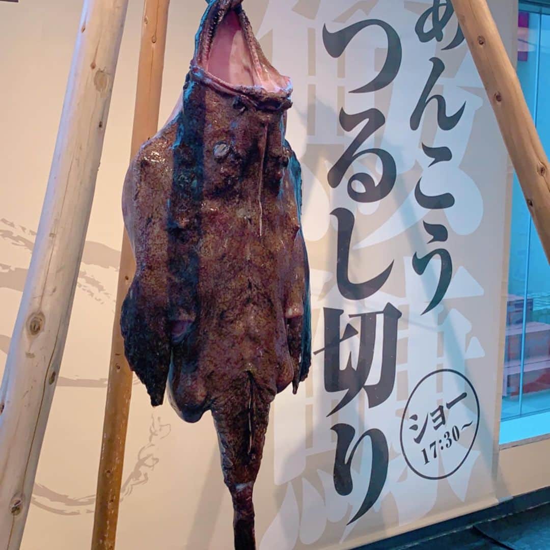 長嶺菜菜子さんのインスタグラム写真 - (長嶺菜菜子Instagram)「. ✈︎茨城観光  あんこうちゃんϵ( 'Θ' )϶﻿ ﻿ つるし切りにされて﻿ ﻿ こんなんなっちゃいました😂﻿ ﻿ ﻿ 冬の味覚﻿ あんこう鍋をいただきに茨城県の北の方へ🚗﻿ ﻿ ﻿ ﻿ はじめてあんこう見たし👀﻿ はじめてあんこう食べた🥢﻿ ﻿ ﻿ ただね﻿ ﻿ 正直﻿ ﻿ あんこう﻿ ﻿ って﻿ ﻿ 美味しくはないね😗﻿ ﻿ めちゃくちゃたんぱくで﻿ ﻿ 味がない( '∀︎' )﻿ ﻿ ﻿ あんこう唐揚げの方が旨かった🤤﻿ ﻿ ﻿ ﻿ 一応あんこうについて載せておくね。﻿ ﻿ ﻿ ✏️あんこう豆知識✏️﻿ ﻿ ⚫︎あんこうの心臓は人の手の親指くらいしかないんだよ。﻿ 理由は全然動かないから﻿ ﻿ ⚫︎あんこうのオスは10cm。メスは80cm。﻿ 大きいあんこう、食べるあんこうは全てメス﻿ ﻿ ⚫︎あんこうのオスはメスに食べられちゃうだよ。　オスはメスに寄生して交尾をするの。卵ができた後、オスはメスに食べられちゃうんだって﻿ ﻿ ﻿ #あんこう﻿ #あんこう鍋﻿ #あんこうありがとう﻿ #冬の味覚﻿ #茨城県名物　#旅なな」3月1日 19時54分 - na7co0422