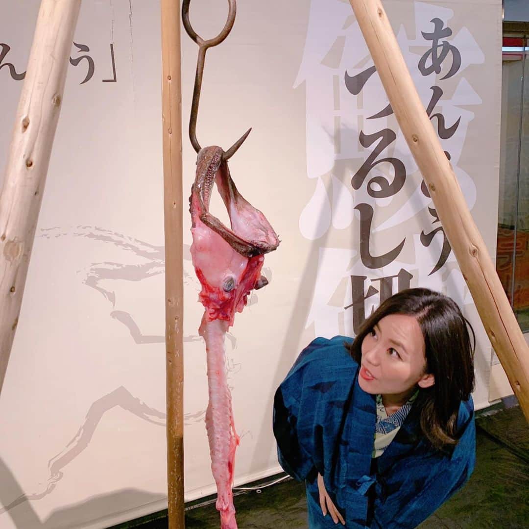 長嶺菜菜子さんのインスタグラム写真 - (長嶺菜菜子Instagram)「. ✈︎茨城観光  あんこうちゃんϵ( 'Θ' )϶﻿ ﻿ つるし切りにされて﻿ ﻿ こんなんなっちゃいました😂﻿ ﻿ ﻿ 冬の味覚﻿ あんこう鍋をいただきに茨城県の北の方へ🚗﻿ ﻿ ﻿ ﻿ はじめてあんこう見たし👀﻿ はじめてあんこう食べた🥢﻿ ﻿ ﻿ ただね﻿ ﻿ 正直﻿ ﻿ あんこう﻿ ﻿ って﻿ ﻿ 美味しくはないね😗﻿ ﻿ めちゃくちゃたんぱくで﻿ ﻿ 味がない( '∀︎' )﻿ ﻿ ﻿ あんこう唐揚げの方が旨かった🤤﻿ ﻿ ﻿ ﻿ 一応あんこうについて載せておくね。﻿ ﻿ ﻿ ✏️あんこう豆知識✏️﻿ ﻿ ⚫︎あんこうの心臓は人の手の親指くらいしかないんだよ。﻿ 理由は全然動かないから﻿ ﻿ ⚫︎あんこうのオスは10cm。メスは80cm。﻿ 大きいあんこう、食べるあんこうは全てメス﻿ ﻿ ⚫︎あんこうのオスはメスに食べられちゃうだよ。　オスはメスに寄生して交尾をするの。卵ができた後、オスはメスに食べられちゃうんだって﻿ ﻿ ﻿ #あんこう﻿ #あんこう鍋﻿ #あんこうありがとう﻿ #冬の味覚﻿ #茨城県名物　#旅なな」3月1日 19時54分 - na7co0422