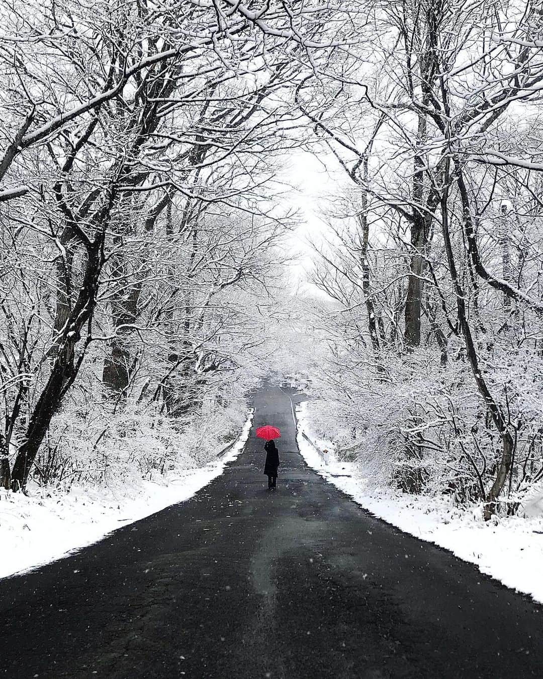 maco_kirahviのインスタグラム：「Snow scene❄️ ・ ・ ・ #shotoniphone  #symmetryhunters  #たいにーぴーぽー」
