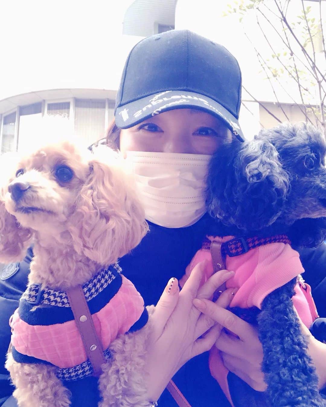 井上貴子のインスタグラム：「こないだ  アタシ長財布と小銭入れを別々に 使用してて…  小銭入れの方に数千円と 銀行カードや免許や保険証や ペットフードのポイントカードとか （笑） 簡単にポケットに入れて 手ぶらで出かけたい時用のモノね。  大好きな方から頂いた紫クロコ で超お気に入り。  なのに水曜日に スーパー行って 使ったのを覚えていて… そのあと記憶にない。  だってキャッシュレスだからー。 携帯だけで済んじゃったりする。  近所だと。  小銭入れはいつものバッグに 入っているとばかり思ってて。  だから丸2日間放置状態。  予約していた整体に 出かける時間になり 探せど探せどでてきまてん。  電話してキャンセルして（笑）  考えても スーパーしか 最後の記憶なっしんぐーーー。  よしっ！ スーパー行ってから警察だ！ と思ってマンションの駐輪場へ…  あ…  んん？？？ あーー！！！ あった！！！！ チャリのカゴに入ってた^ ^ まさかの無傷でーーー^ ^  ありがとうございますー⭐️ ソッコー整体キャンセル取り消して 行ってきたよ^ ^  スーパーの帰りに ポロンと忘れてきちゃったんだね。  めんどくさい手続きとか 憂鬱ーって考えていたから  ホントにらっきー✨ 感謝感謝✨  べにひお連れてドライブ^ ^  の時の記念撮影^ ^  Happyで^ ^  #井上貴子  #LLPWX #女子プロレス #紅緒と柊音 #トイプードル部 #神取忍 #小銭入れ #2日間放置 #紫色クロコ #お気に入り #コイケケイコ #世の中悪い人ばかりではない」