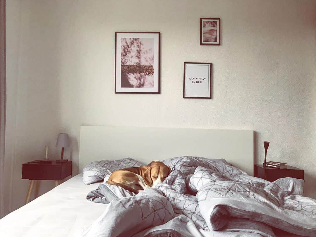 ミリアム・ツィーグラーのインスタグラム：「what our Sundays are all about.. 😴🐶 #sleepingbeauty」