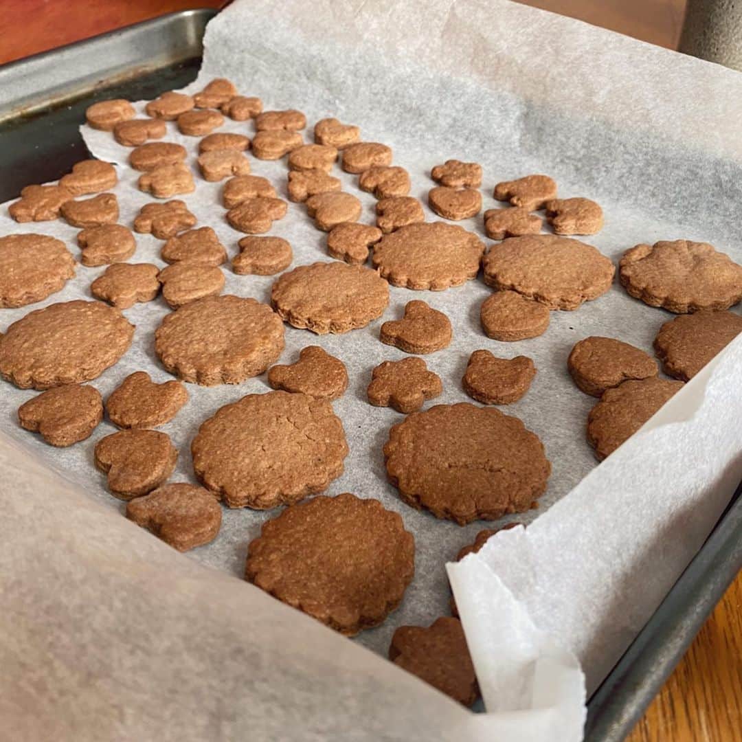 MEGのインスタグラム：「クッキー日和 🍪🍪🍪🍪」
