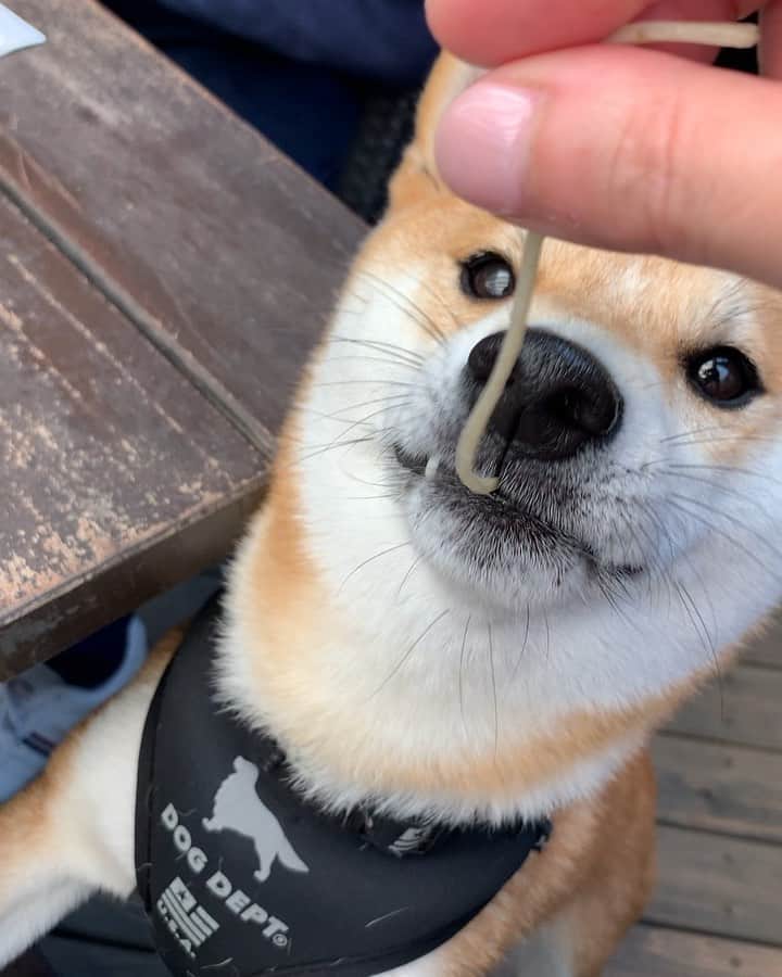 大山加奈のグルメインスタ