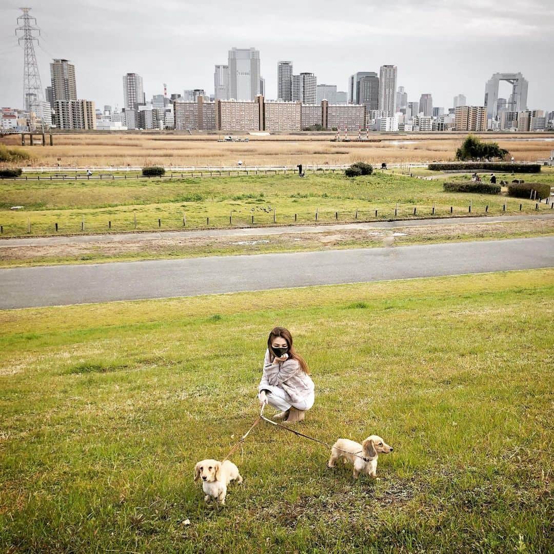 鈴木絢子さんのインスタグラム写真 - (鈴木絢子Instagram)「・ ・ 久々に大阪で過ごす休日🤗 ・ 麗かな春の陽気でも、、🌸 このコロナ騒動の中とあっては、行き先は河川で犬の散歩くらいですが😅 ・ #ユニクロの春のボトムス #CM を見たら、シンプルな白パンツで出かけたくなりました🎶 ・ ・ ・ #ユニクロ #春が来た #スキニージーンズ #ezyアンクルパンツ #犬の散歩 #親子犬 #犬バカ部 #ストレートヘア #春色カラー #春コーデ #高層ビル群 #🐶🐶」3月1日 23時08分 - ayako_suzuki810
