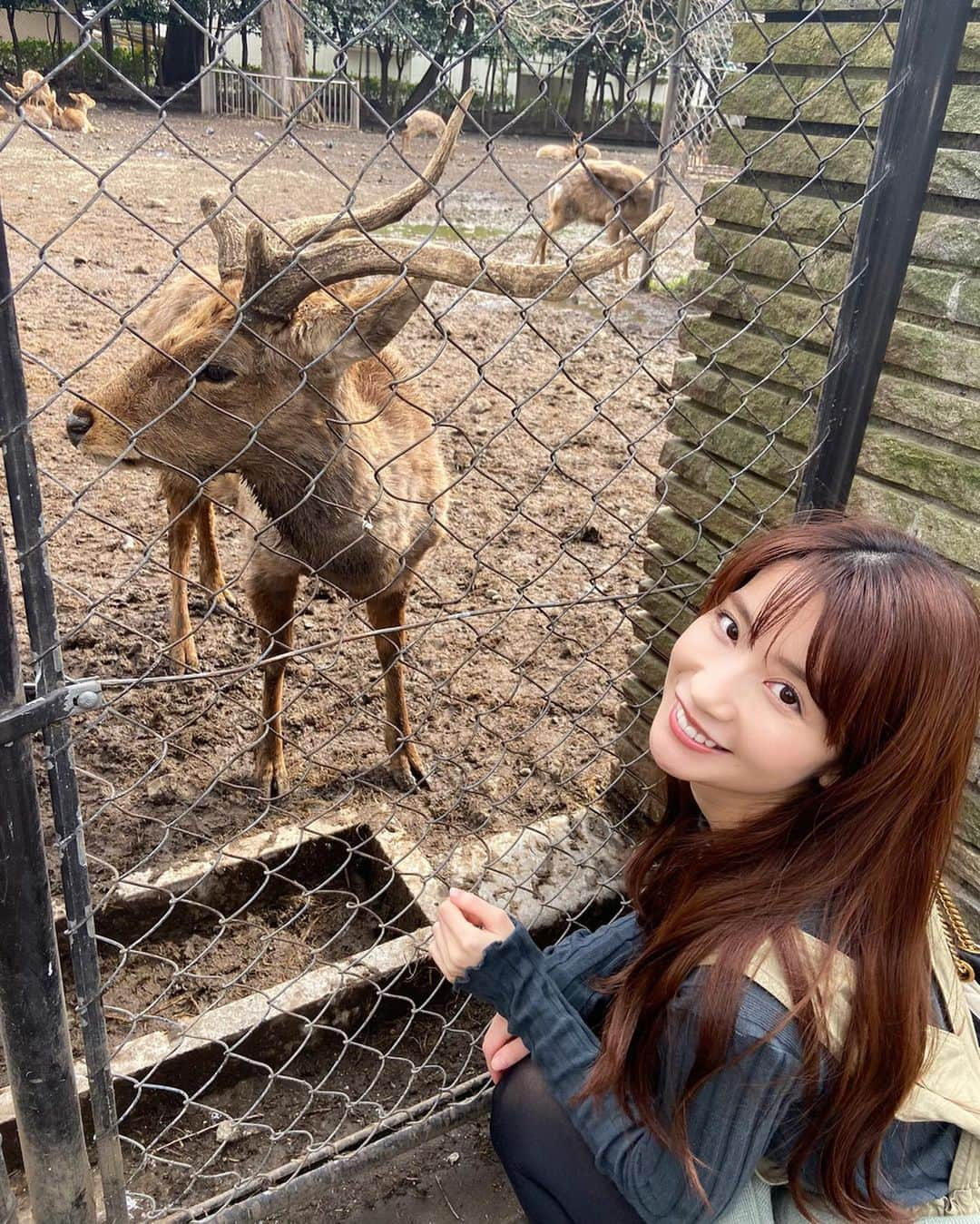 中川杏奈のインスタグラム