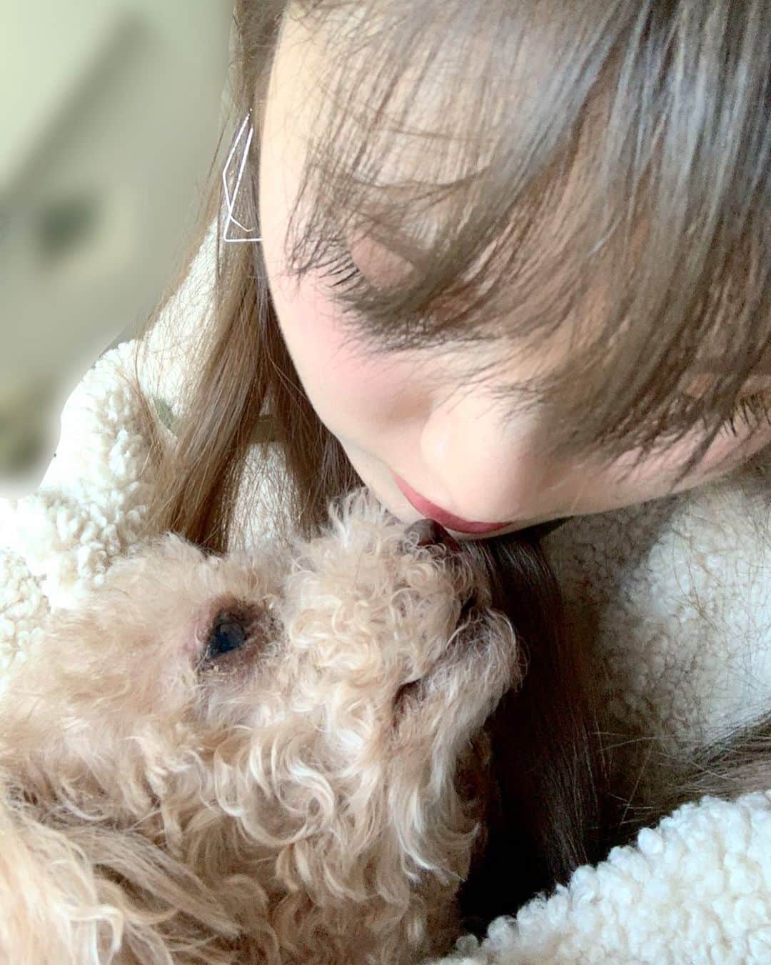 神志那結衣さんのインスタグラム写真 - (神志那結衣Instagram)「chu💋 #kiss #dog」3月2日 12時21分 - jiina27
