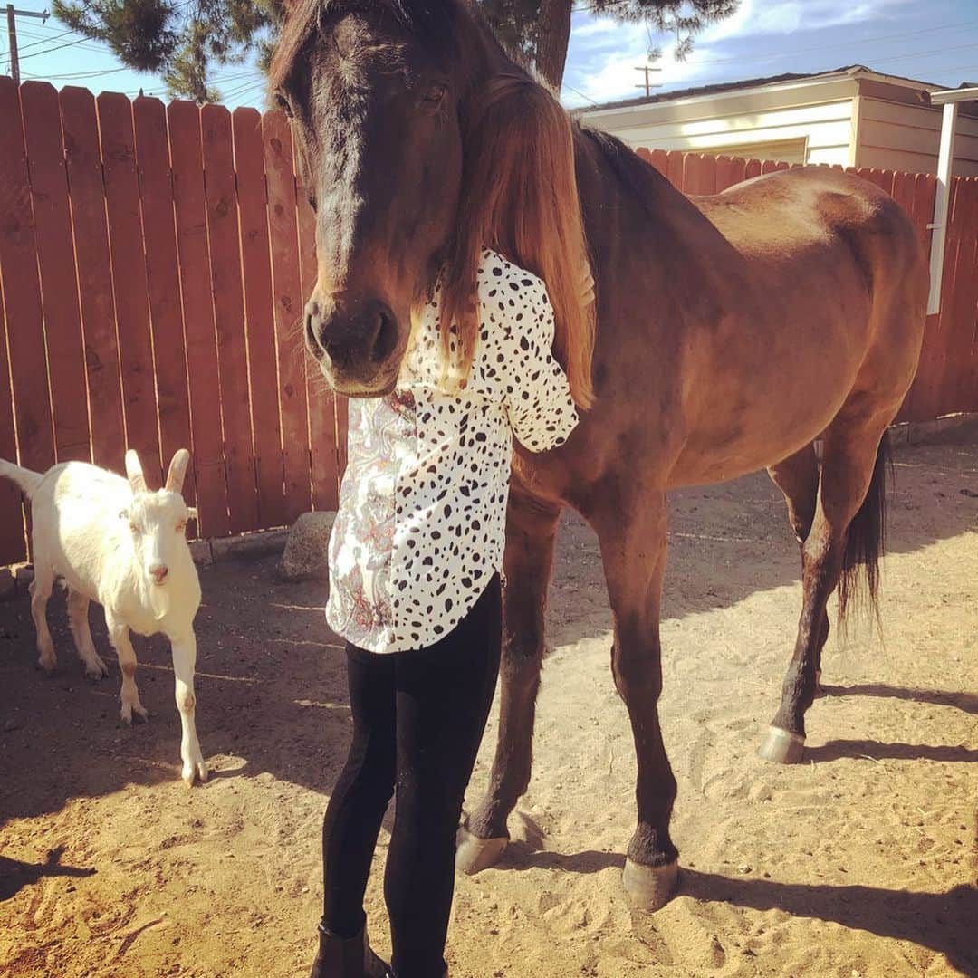 伊藤歩さんのインスタグラム写真 - (伊藤歩Instagram)「🐴🌈✨❤️ #naturelove#loveanimals#relax#healing#家政婦は見た#いつも側にいてくれる山羊のBilly」3月2日 12時26分 - ayumi__ito