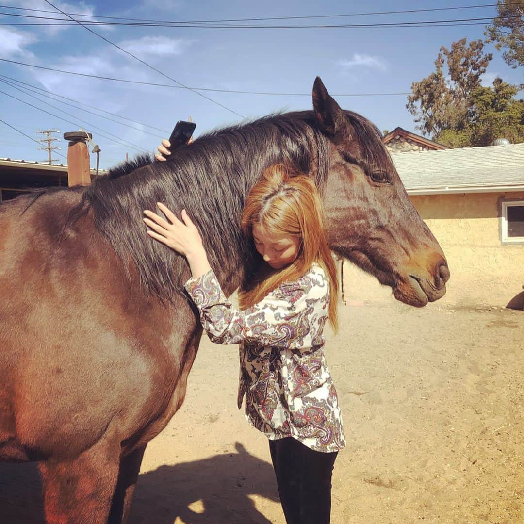 伊藤歩さんのインスタグラム写真 - (伊藤歩Instagram)「🐴🌈✨❤️ #naturelove#loveanimals#relax#healing#家政婦は見た#いつも側にいてくれる山羊のBilly」3月2日 12時26分 - ayumi__ito