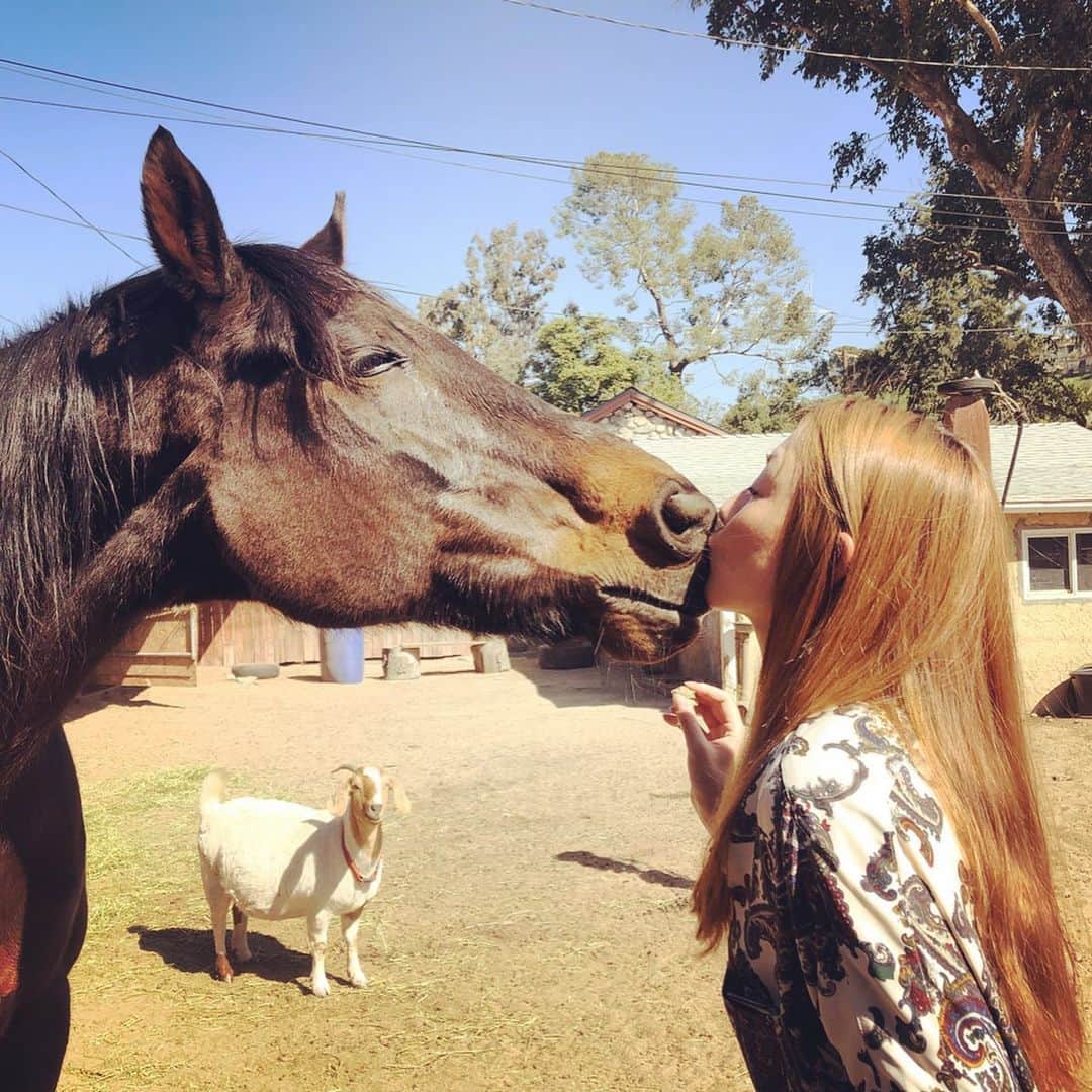 伊藤歩さんのインスタグラム写真 - (伊藤歩Instagram)「🐴🌈✨❤️ #naturelove#loveanimals#relax#healing#家政婦は見た#いつも側にいてくれる山羊のBilly」3月2日 12時26分 - ayumi__ito