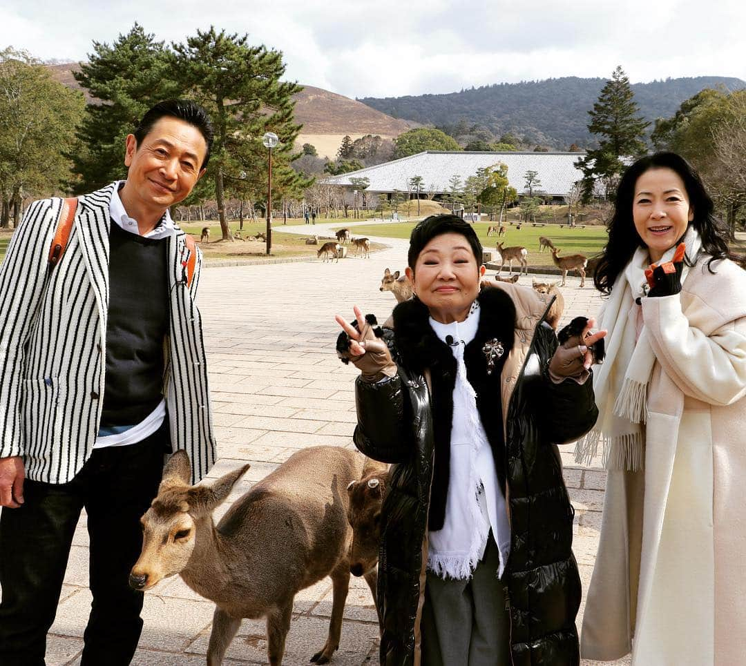 テレビ大阪「おとな旅あるき旅」さんのインスタグラム写真 - (テレビ大阪「おとな旅あるき旅」Instagram)「今週のおとな旅あるき旅（テレビ大阪）は、2週連続90分SPの第2弾！奈良編です！  ゲストは泉ピン子さんと坂本冬美さん。昨年5月の2時間半SPに続き、2回目の登場！ すっかり仲良しの3人で、春に訪れたい奈良まほろばの名所や美味を堪能します！ 奈良は人生初旅というピン子さん、奈良の魅力に感激！冬美さんも関西弁バリバリで楽しんでます！お楽しみに！  3/7(土)18:30〜19:57  #おとな旅あるき旅#90分SP#2週連続#第2弾#テレビ大阪#三田村邦彦#泉ピン子#坂本冬美#奈良#奈良公園#東大寺#世界遺産#まほろぼ#飛鳥#橿原神宮#石舞台古墳#安倍文殊院#サイクリング#けはや座#徳勝龍#いちご#あすかルビー#高速餅つき#先週放送分はTVerで配信中」3月2日 12時42分 - tvo.otonatabi