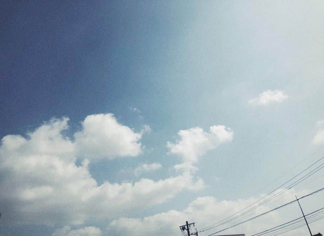 横山紗弓さんのインスタグラム写真 - (横山紗弓Instagram)「ㅤㅤ 頑張ったあとのお休みの幸福度☺︎ こうやって過ごす、と決めたら そうやって過ごす。 今日はあたたかくて気持ちいいね〜 #写ルンです #さゆみの写ルンです」3月2日 13時01分 - 1129sym