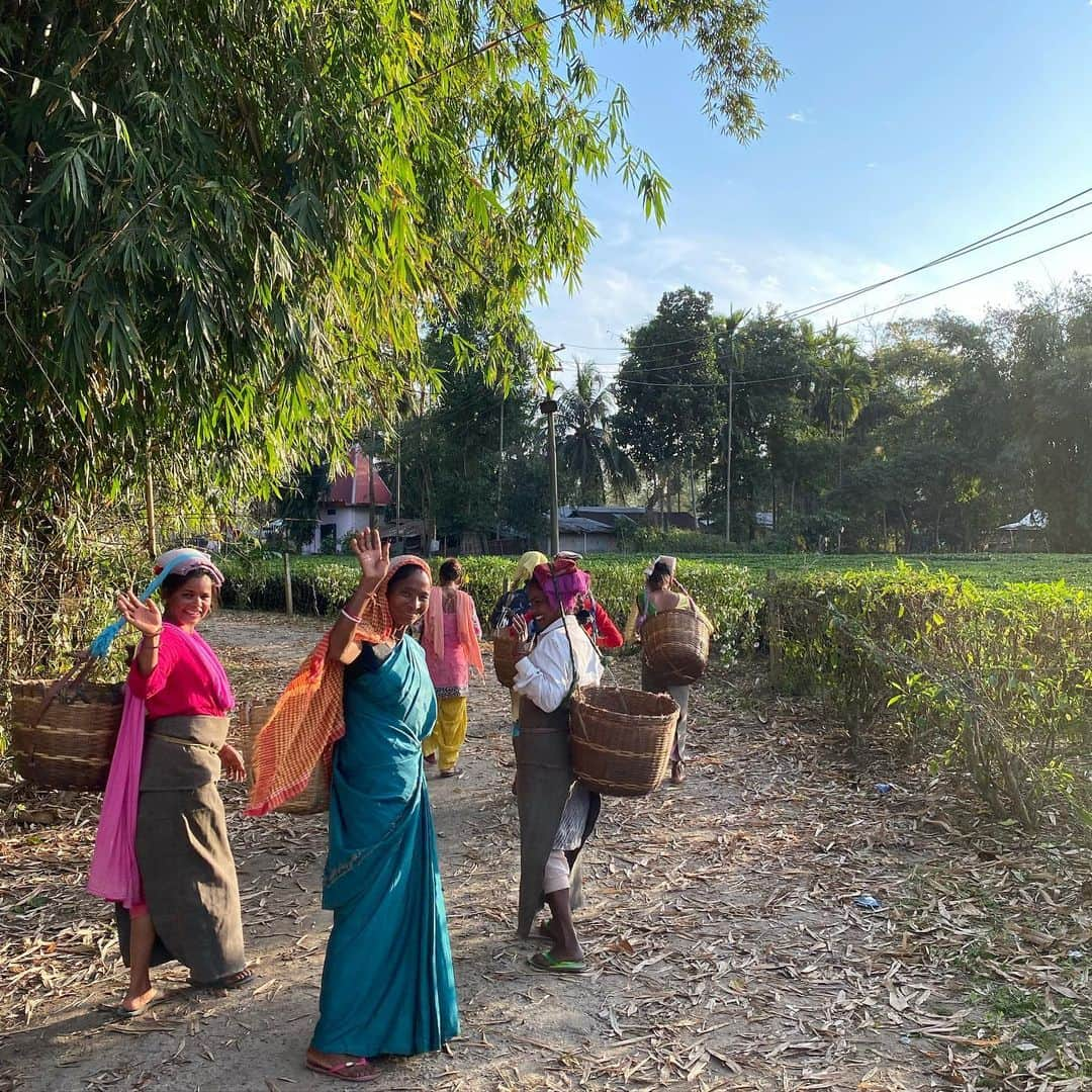 クリスティー・ターリントンさんのインスタグラム写真 - (クリスティー・ターリントンInstagram)「This is my 6th visit to India but my first with @everymomcounts and also the first time in Assam. Assam is known for its tea plantations, where the majority of workers are Indigenous Adivasi who were forcibly brought to the northeast province from central India in the 1900s under British colonial rule. Today, approximately one million Assam tea plantation workers make less than minimum wage (176 INR or $2.50 USD per day) and suffer from poor working and living conditions. Pregnant women in Assam face many of the same barriers to health and care that many other poor, marginalized pregnant women in India amd around the world experience, including a lack of access to adequate housing, health care, nutrition, sanitation, and safe water. In Assam, these barriers are compounded by difficulties getting access to the services they have rights to (including iron supplements and prenatal care) due to poor budget allocation and lack of government oversight over clinics in Assam providing maternal health services. @nazdeek1 is working to address all of this by providing training to paralegals who come from these communities to improve the quality of life and health outcomes within this underserved and appreciated population. Despite all of the above, we were welcomed graciously and shown many beautiful cultural aspects during our stay here. The tea industry is a global one but most are unaware of the working conditions of the people who pick the leaves. Each woman in this picture picks 24-30 kgs per day. That’s roughly 50 lbs. even when pregnant or with a baby on their chest. #nowyouknow」3月2日 13時33分 - cturlington