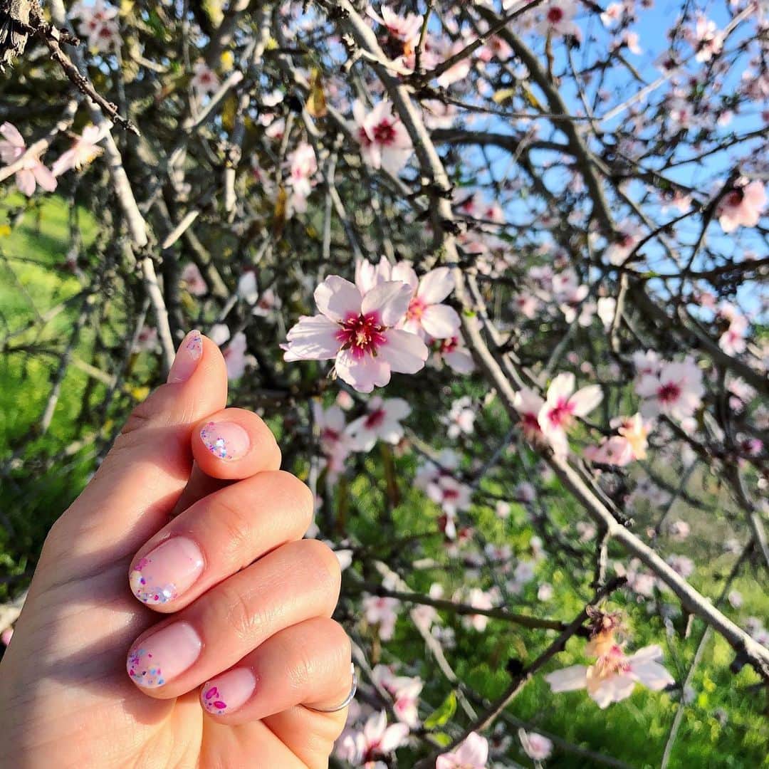 権田裕美さんのインスタグラム写真 - (権田裕美Instagram)「. 春ですね🌸✨ . 今年の春ネイルはシンプルにお花の花びらをイメージしてみました♪ ベースは#バイオジェル 、カラーは#ベラフォーマ 、 トップは#アクセンツ ! ここ数年この組み合わを気に入って セルフジェルネイルをしています😊✨ 幸せは指先から..✨ 色々な想いも綺麗な指先を見れば 少しほっとできるはず✨ . #セルフジェルネイル#springnails#春ネイル#ゆみたそネイル」3月2日 7時12分 - yumigonda