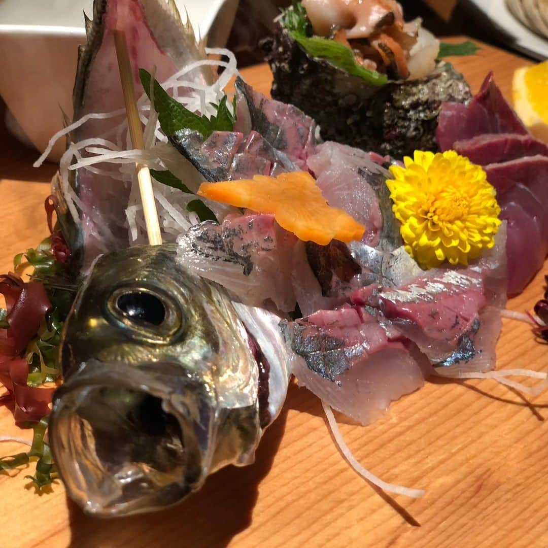 ゴンのインスタグラム：「北九州市は相変わらず美味しい食べ物いっぱいでした！ 新鮮な刺身。ピクピク動いてました！！ グリちゃんはフグを始めて食べたんだって〜。フグが一番美味しかったって言ってた！😄 珍しくチロちゃんが朝食バイキングに来たので、動画撮ってたら気付いた！🤣 有名なパフェのお店へ そして、北九州空港の中の豚骨ラーメン山小屋さんへ そして、地上は雨☂️でも、上空へ行くと必ず晴れ！  これが本当にたまらなく大好き！」