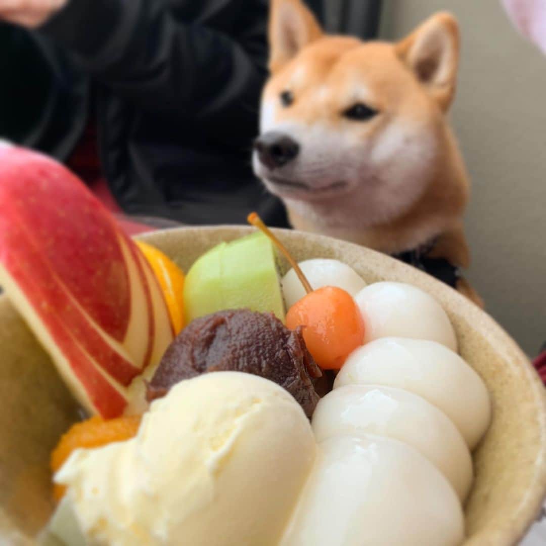 大山加奈のグルメインスタ