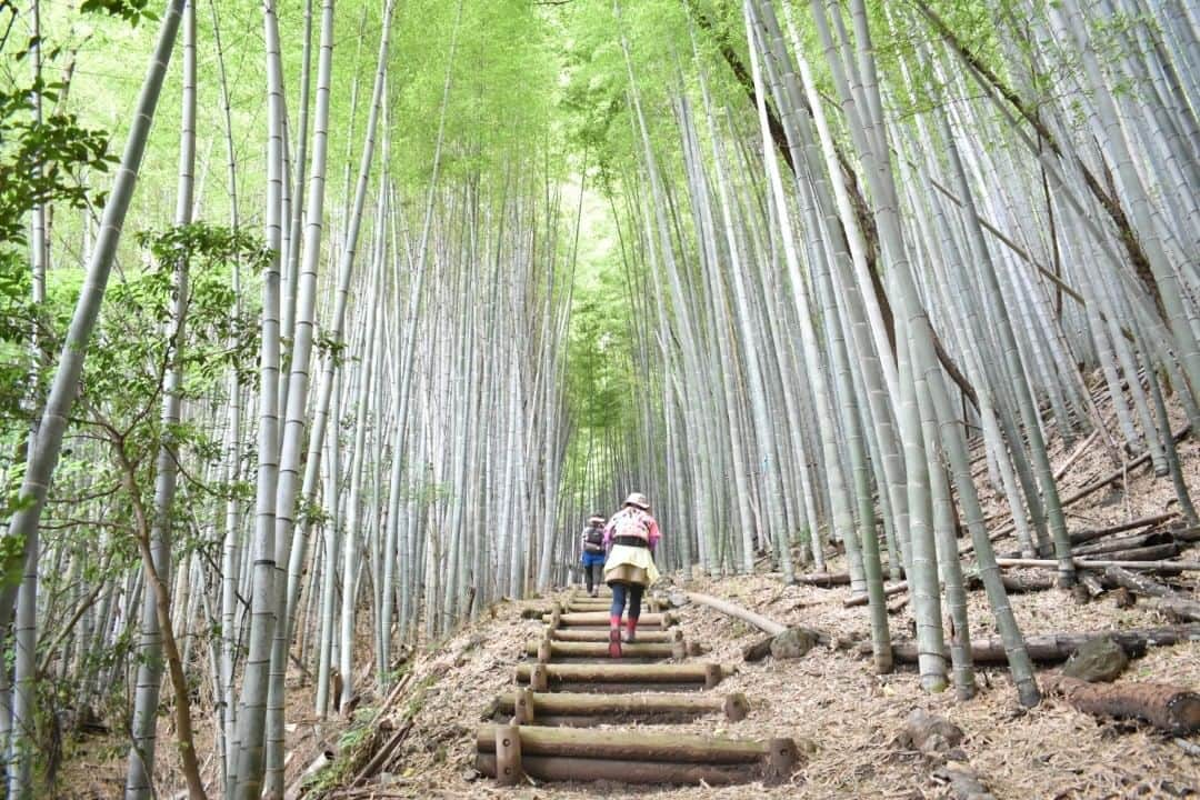 Birthplace of TONKOTSU Ramen "Birthplace of Tonkotsu ramen" Fukuoka, JAPANのインスタグラム