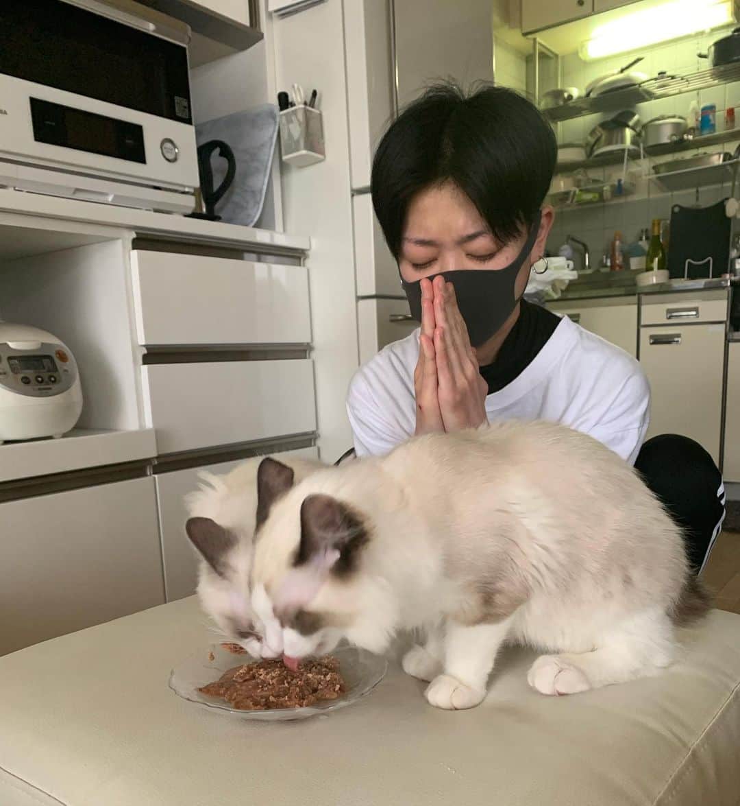 Aya Satoのインスタグラム：「【札幌ワークショップについての重要お知らせ】  この度のコロナウイルスの影響により札幌ワークショップの延期を検討中です。 4月、5月のいずれかの日曜日に開催を考えております。 詳細が決まり次第ご報告いたしますので、今しばらくお待ち下さいますようお願い申し上げます。 #ayasato #札幌ワークショップ #sapporo #workshop #延期検討中 #お知らせ」