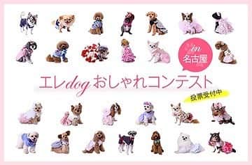 25ans SHOPのグルメインスタ