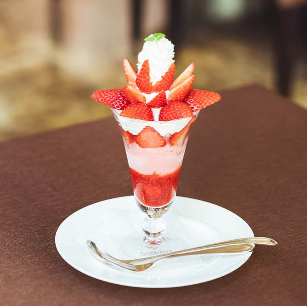 オズモール編集部のグルメインスタ