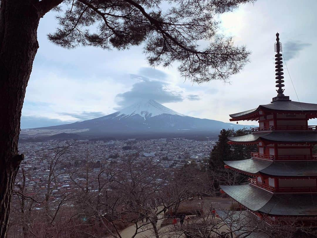 高陽子さんのインスタグラム写真 - (高陽子Instagram)「⚖️ ﻿ 健康第一﻿ ﻿ 予防のほうが、治療より負担がないかな。﻿ と思うタイプです。﻿ ﻿ ﻿ #トイレットペーパー　#いつ入荷します？」3月2日 12時08分 - koh_yoko_official