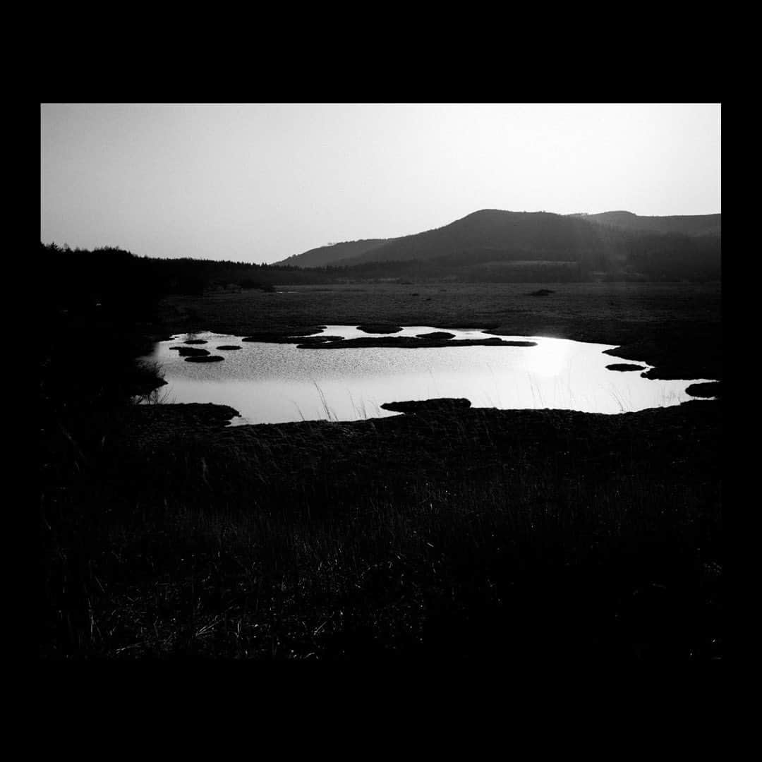 島田大介のインスタグラム：「Marshland #daisukeshimadaphotograph #6x7 #makina67」