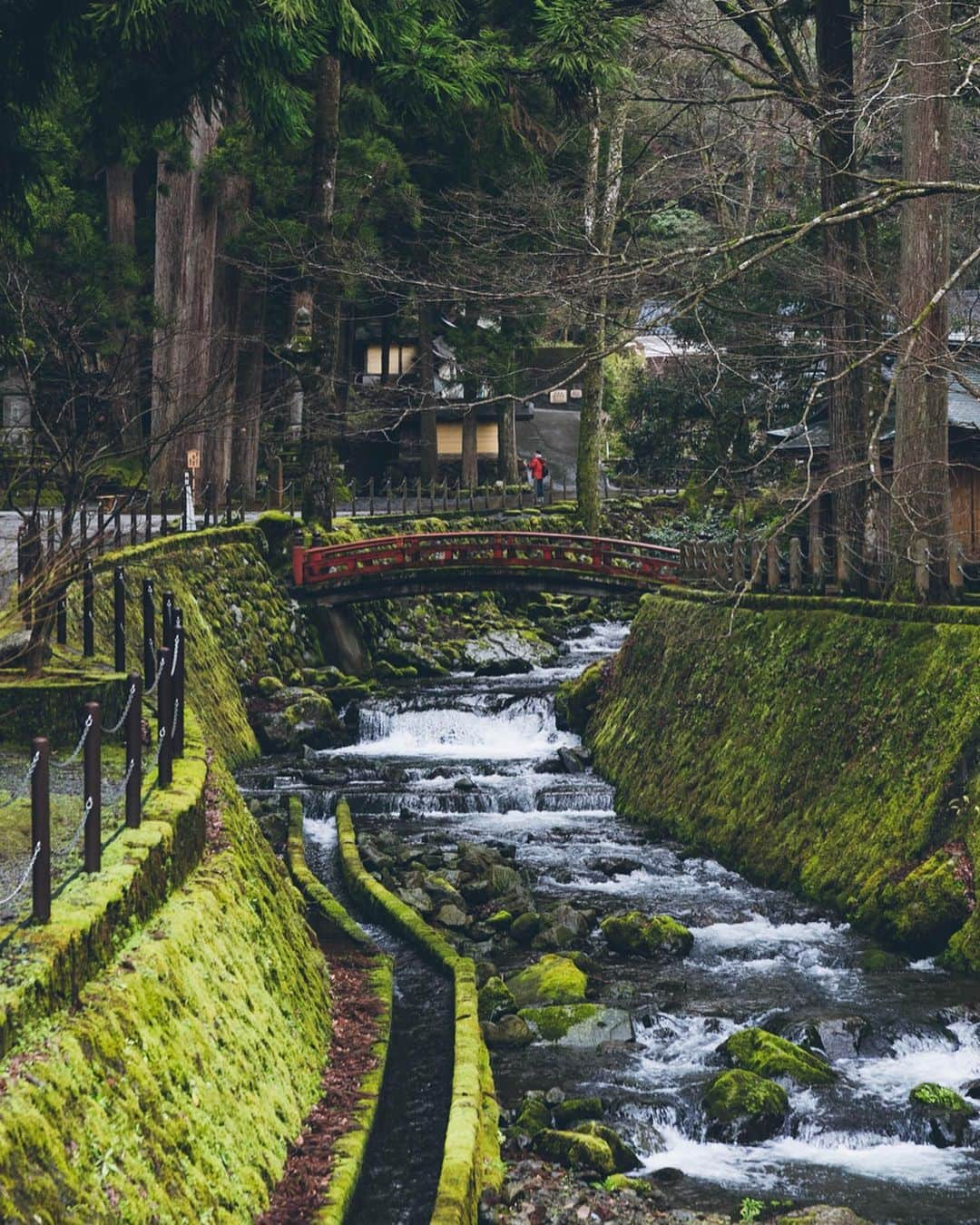 Yuma Yamashitaさんのインスタグラム写真 - (Yuma YamashitaInstagram)「Moss #inspirationcultmag #hellofrom Fukui Prefecture」3月2日 22時00分 - yuma1983