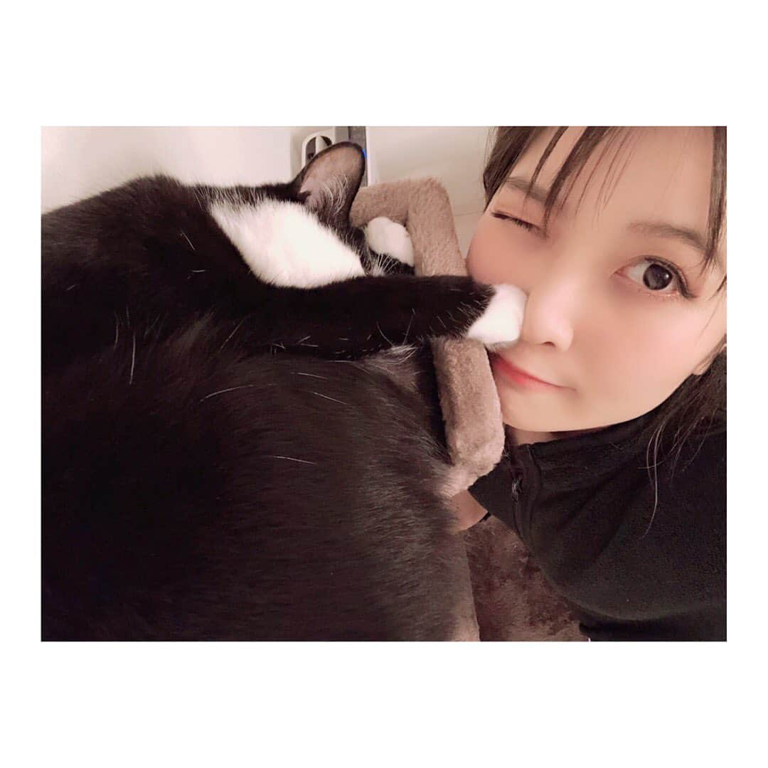 May’nさんのインスタグラム写真 - (May’nInstagram)「くんくん🐈 猫の肉球ってなんでこんなにいい匂いなの🥺 香ばしいポップコーン🍿太陽にあたったお布団☀️そんな感じ🥺🥺 #ねこすたぐらむ #むぅちゃん」3月2日 21時59分 - mayn1021