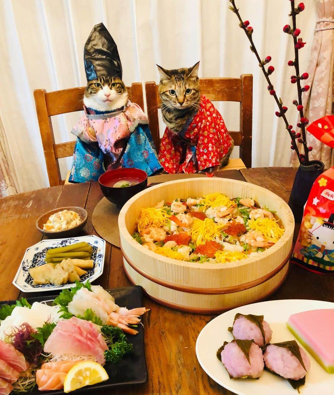 マロさんのインスタグラム写真 - (マロInstagram)「🎎1日早いひな祭り🎎  Hinamatsuri(Doll’s Festival) is celebrated each year on March 3. Most families with girls display dolls for the Doll’s Festival called Hina-ningyo. Today, we eat traditional dishes like Scattered sushi(chirashi-sushi), clam soup, sweet white sake(shirozake), rise cake cubes(hina arare) and diamond-shaped rice cakes(hishimochi) for the Doll’s Festival. ☆ いつもコメントありがとうございます😸🙏💕 返信出来なくてすみません🙇‍♀️ 全て拝見しています🐾 ☆ Thank you for your kind comments😺🙏💕 I'm sorry that I couldn't reply. ☆ #cat#cats#catsofinstagram#😻 #japanesefood#japaneseculture  #sake#にゃんすたぐらむ#ねこ#猫 #ねこ部#ふわもこ部#ひな祭り #ひな祭りごはん#猫のいる暮らし  #斉藤和義#カーリングシトーンズ」3月2日 22時14分 - rinne172