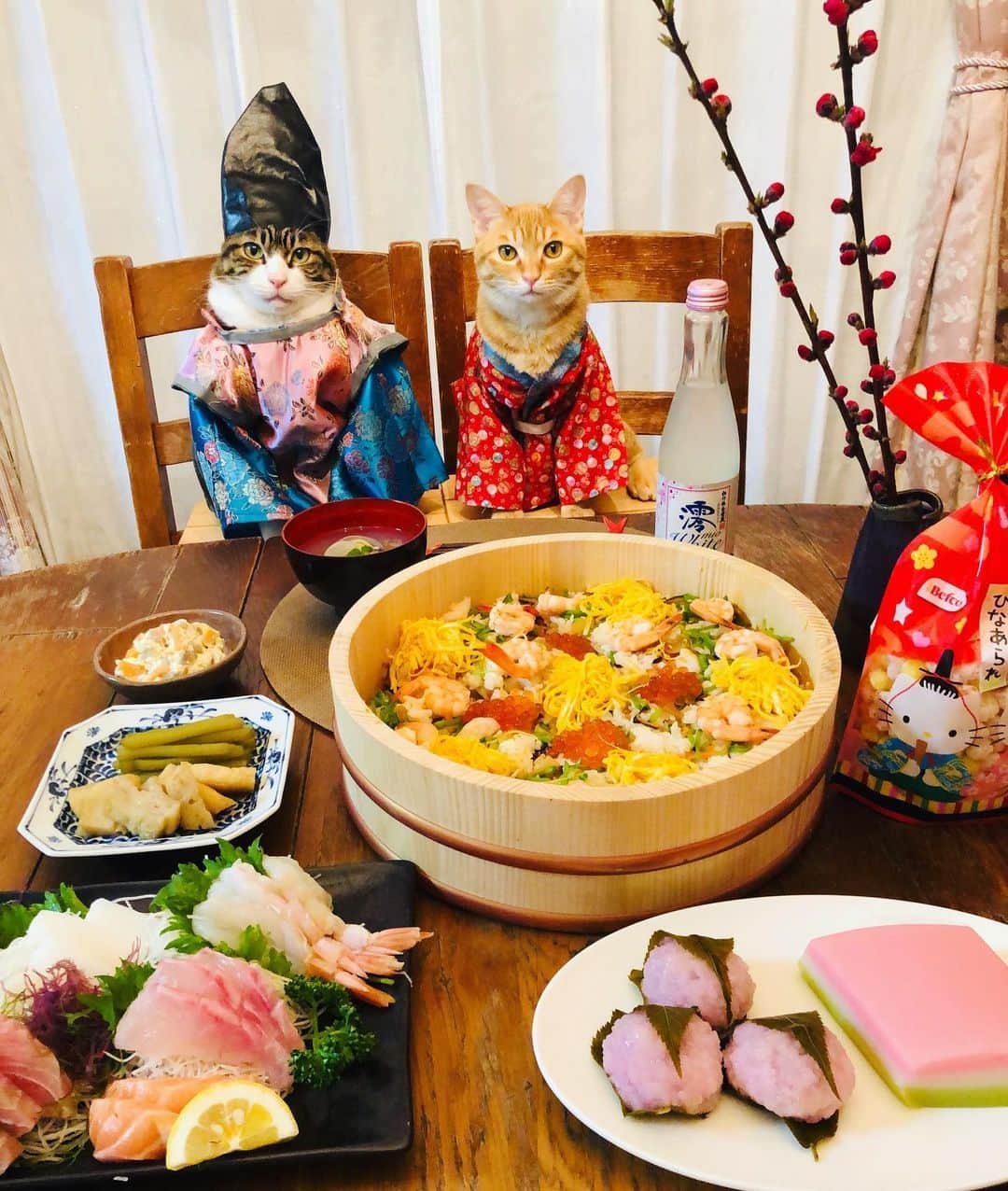 マロさんのインスタグラム写真 - (マロInstagram)「🎎1日早いひな祭り🎎  Hinamatsuri(Doll’s Festival) is celebrated each year on March 3. Most families with girls display dolls for the Doll’s Festival called Hina-ningyo. Today, we eat traditional dishes like Scattered sushi(chirashi-sushi), clam soup, sweet white sake(shirozake), rise cake cubes(hina arare) and diamond-shaped rice cakes(hishimochi) for the Doll’s Festival. ☆ いつもコメントありがとうございます😸🙏💕 返信出来なくてすみません🙇‍♀️ 全て拝見しています🐾 ☆ Thank you for your kind comments😺🙏💕 I'm sorry that I couldn't reply. ☆ #cat#cats#catsofinstagram#😻 #japanesefood#japaneseculture  #sake#にゃんすたぐらむ#ねこ#猫 #ねこ部#ふわもこ部#ひな祭り #ひな祭りごはん#猫のいる暮らし  #斉藤和義#カーリングシトーンズ」3月2日 22時14分 - rinne172