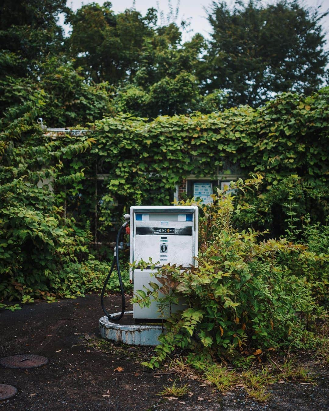 啝 （わ）さんのインスタグラム写真 - (啝 （わ）Instagram)「Symbiosis 𓆲 𓆲 𓆲 #廃墟 #Abandoned #AbandoniG #allabandoned #abandonedworld #Abandonedafterdark #abandoned_addiction #abandoned_greece #abandon_seekers_ #Abandoned_Excellence #abandonedcentral #global_urbex #discarded_butnot_forgotten #DECAY_iLLife #desertedplaces #ethereal_moods #grime_nation #grime_reapers #GoTrespassing #ig_urbex #Itsabandoned #KINGS_ABANDONED #renegade_abandoned #sombrexplore #urbex_supreme #urbex_regards #urbexplaces #urbex_disciple #urbex_utopia #urbxtreme」3月2日 14時19分 - neji_maki_dori