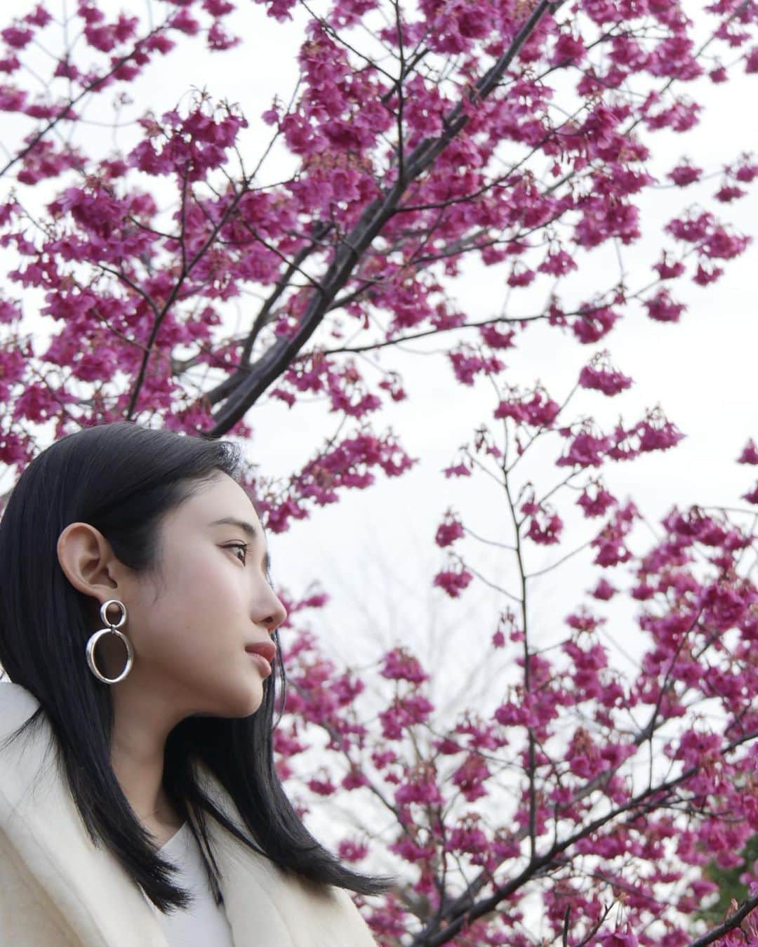 森ニーナのインスタグラム：「🌸寒緋桜🌸-Kanhi Sakura-  花言葉は「高貴、尊大」  逆さに向いてるのが特徴  通りがかったおじいちゃんが、 この桜は下から撮ると綺麗なんだよー👴 だって😆👏💓 #バラ科 #サクラ属 #正直梅かと思ってしまった」