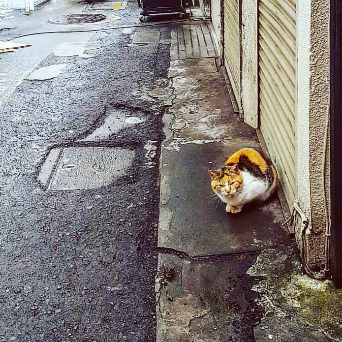仁科貴さんのインスタグラム写真 - (仁科貴Instagram)3月2日 16時13分 - takashi_nishina