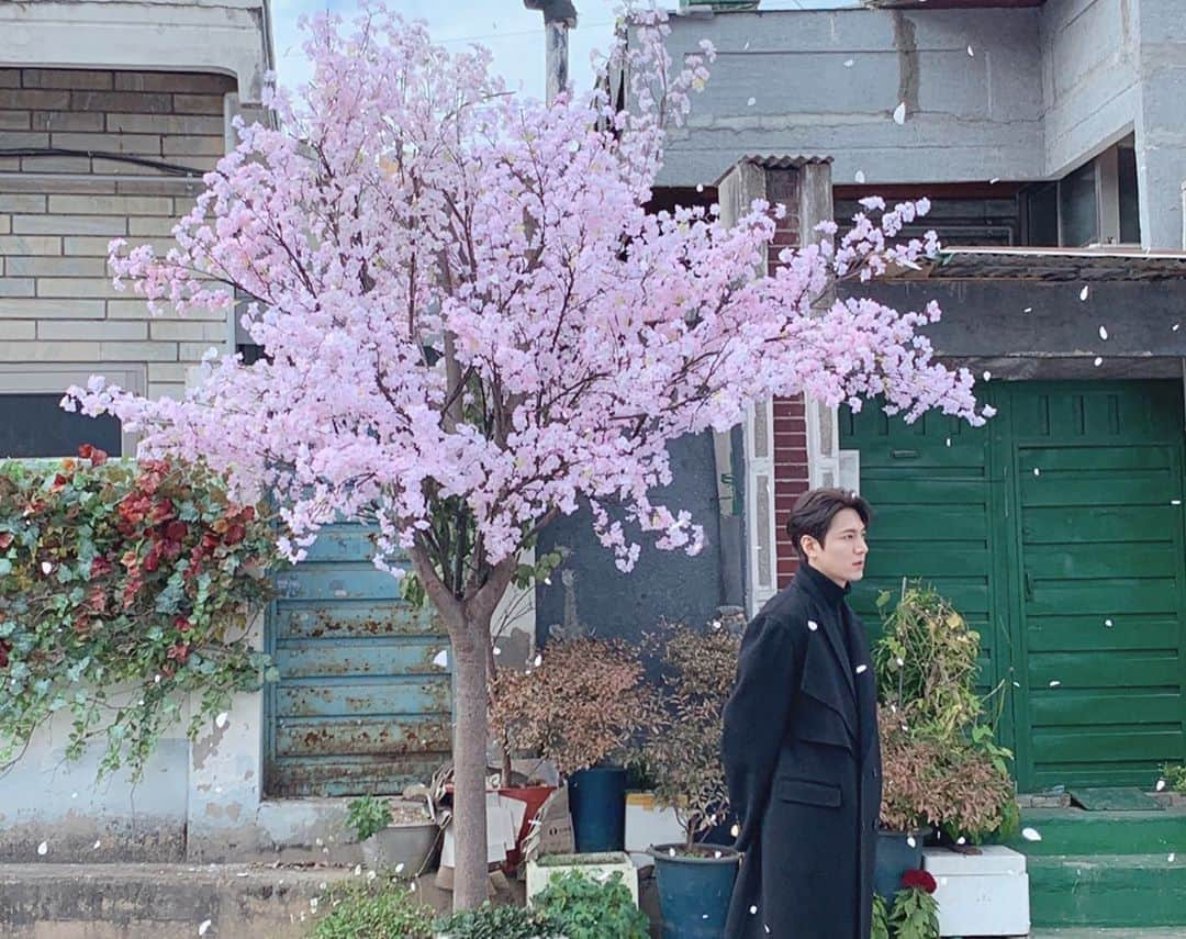 イ・ミンホさんのインスタグラム写真 - (イ・ミンホInstagram)「하루빨리 모두에게 봄이오길.  Wish spring would come to us all soon.」3月2日 16時49分 - actorleeminho